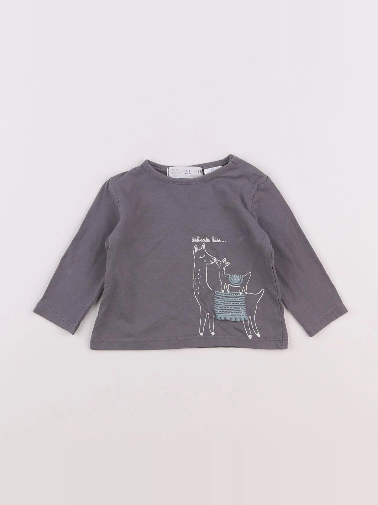 Zara - tee-shirt gris - 3/6 mois