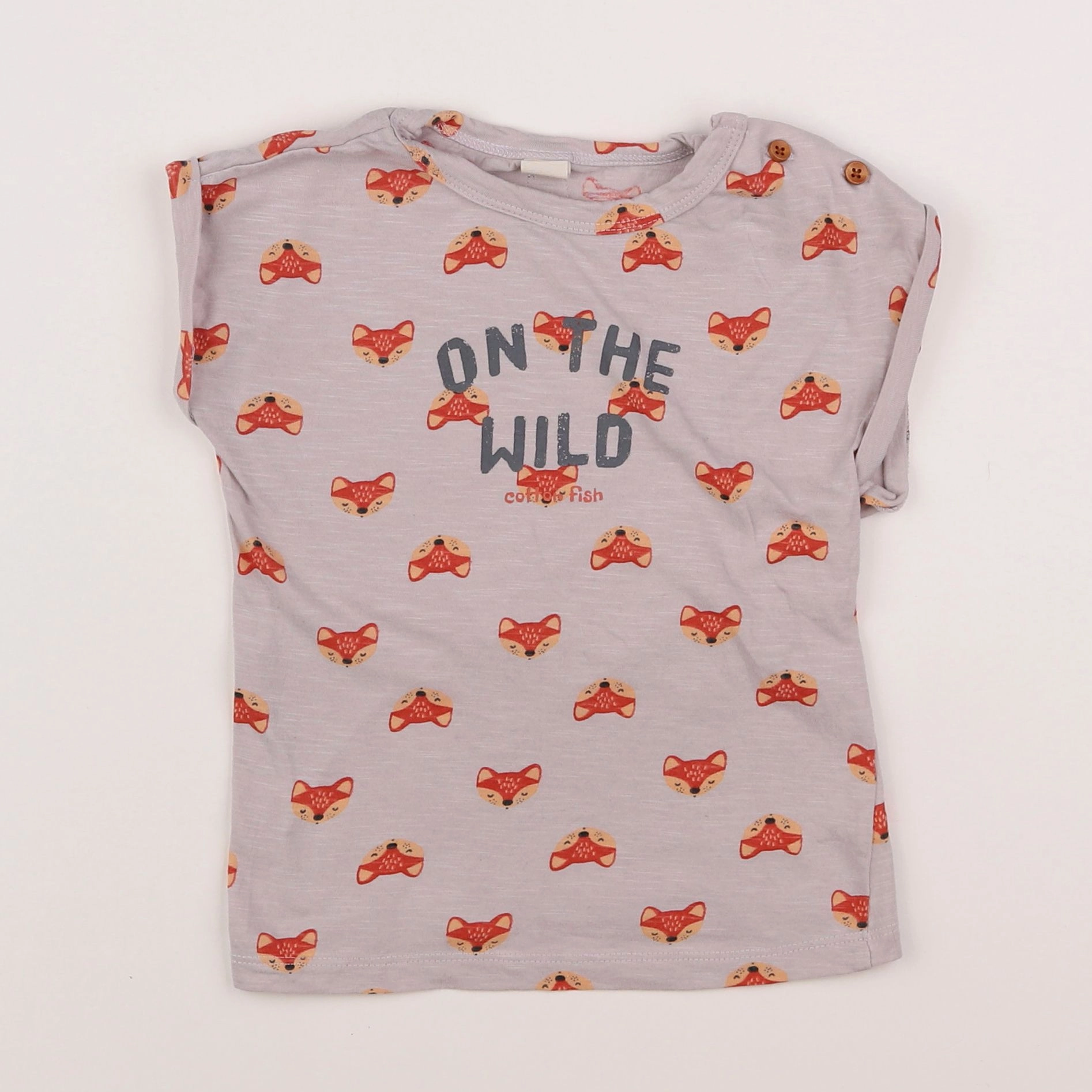 Cotton Fish - tee-shirt beige, gris - 2 ans