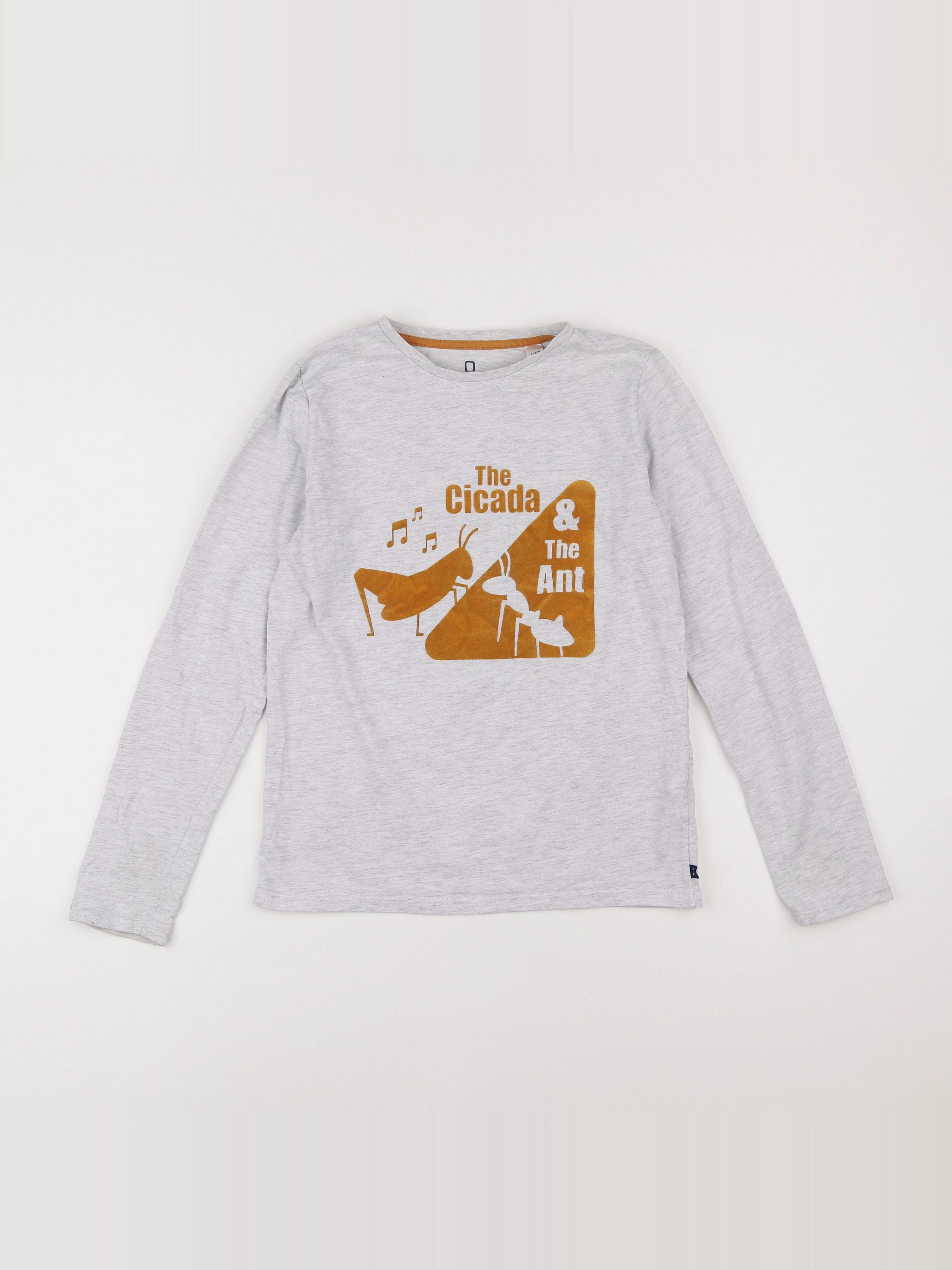 Okaidi - tee-shirt gris, marron - 12 ans