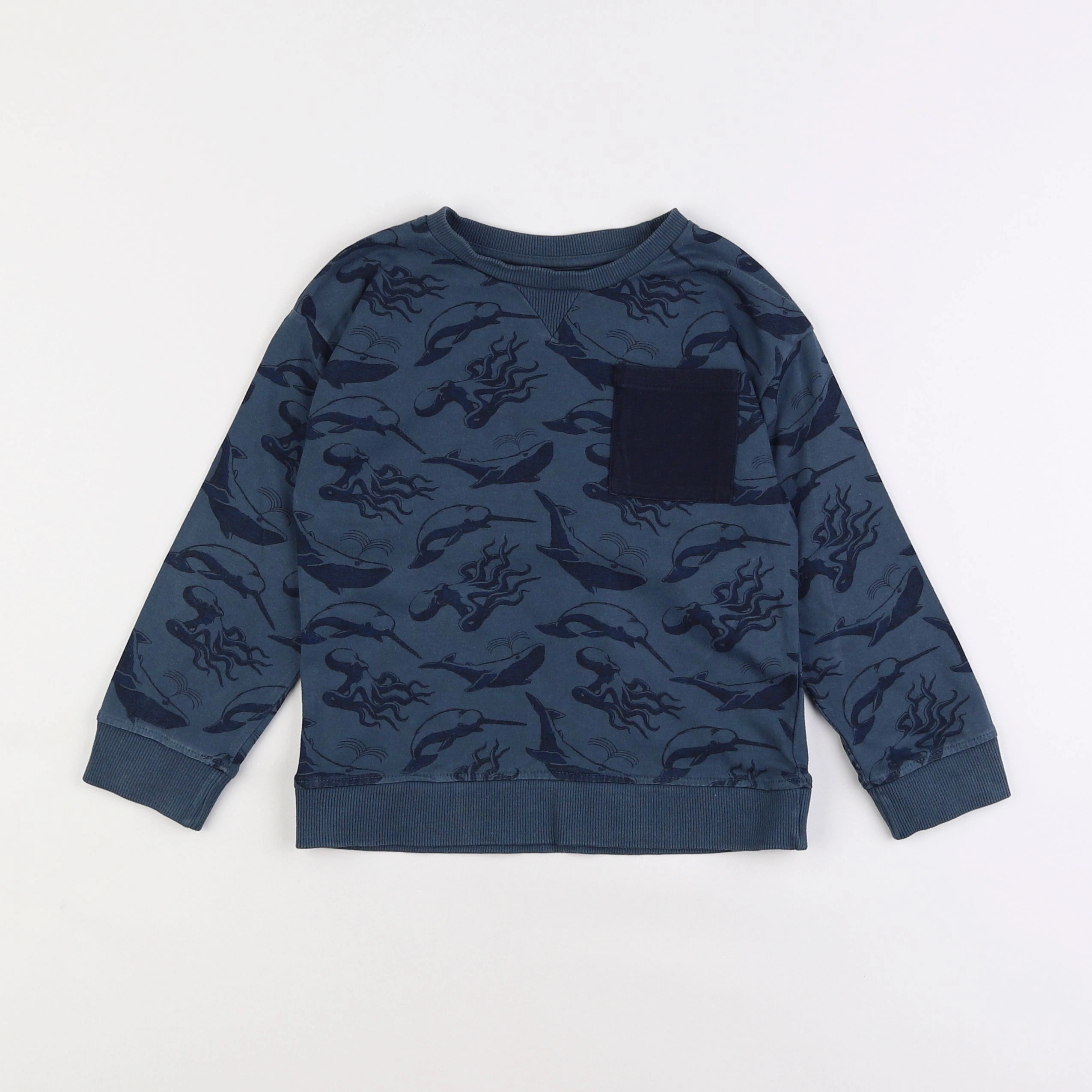 Vertbaudet - sweat bleu - 5 ans