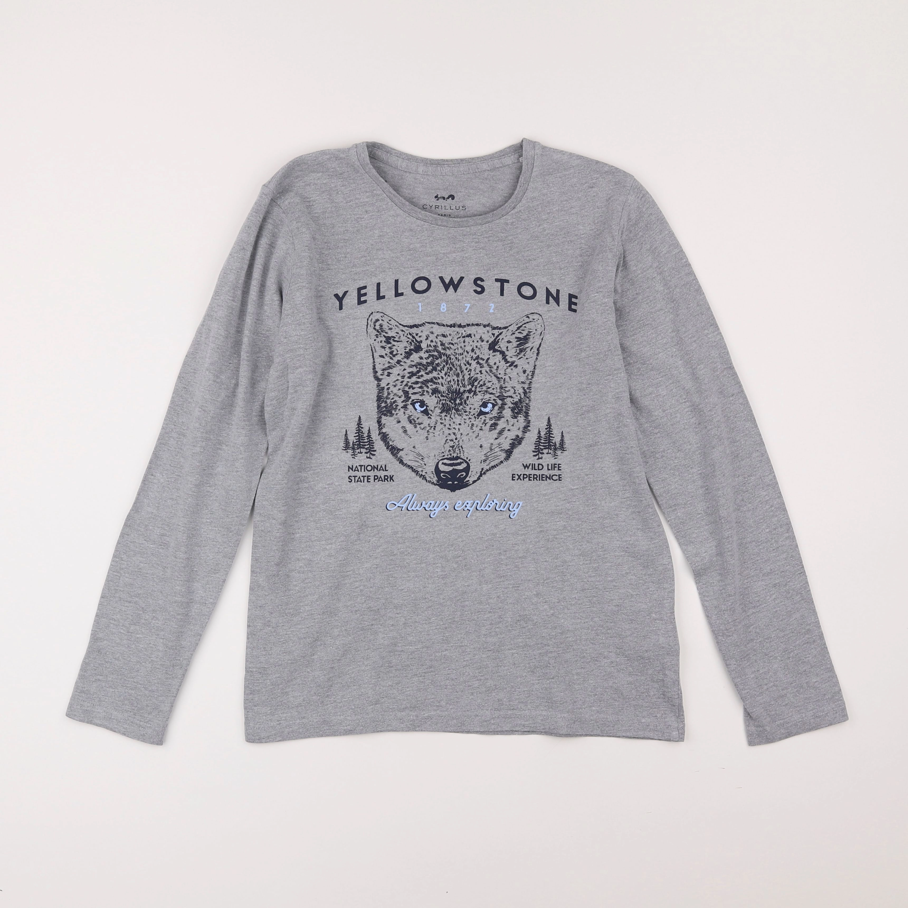 Cyrillus - tee-shirt gris - 12 ans