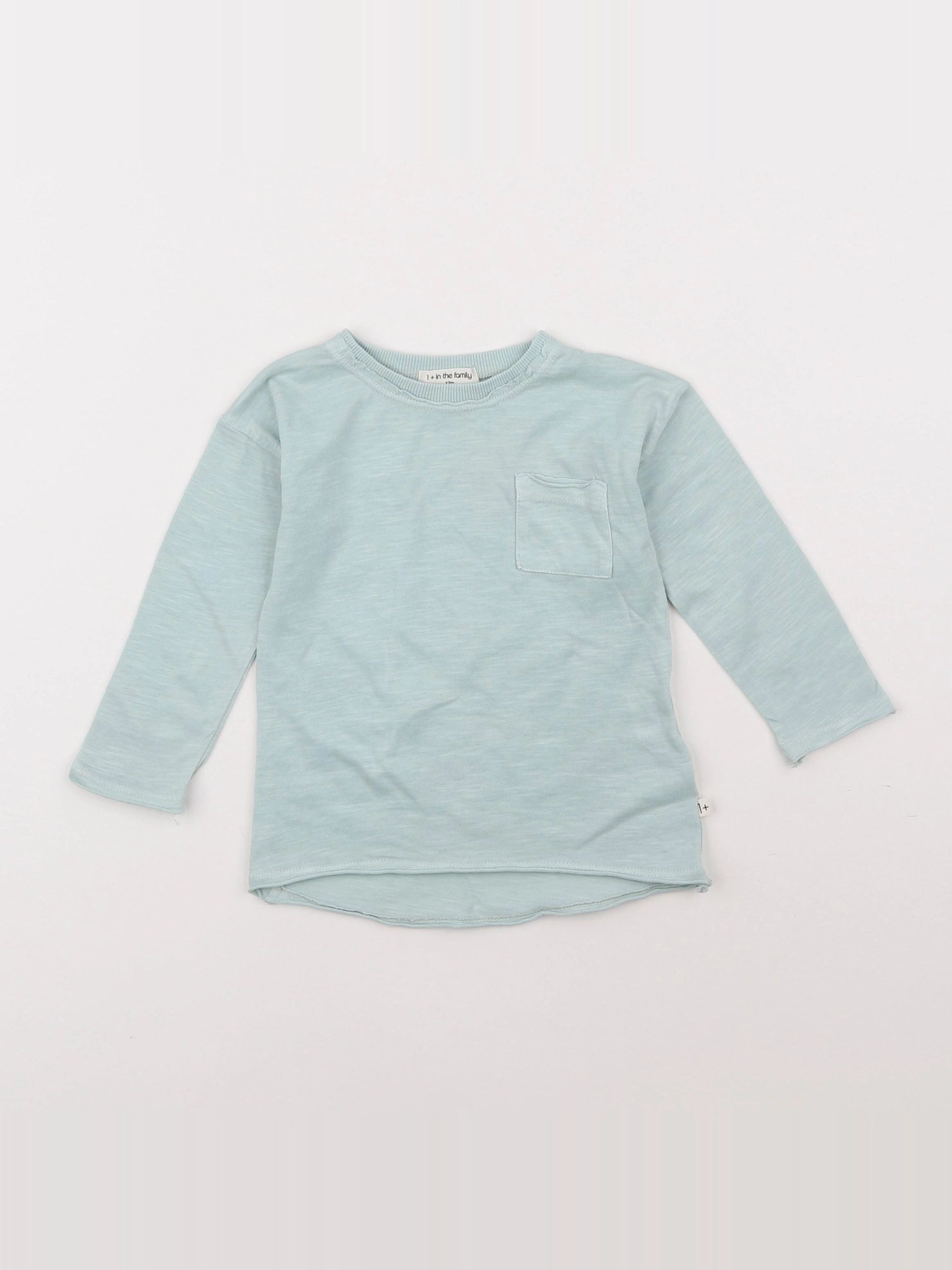 1+ In the family - tee-shirt bleu - 12 mois