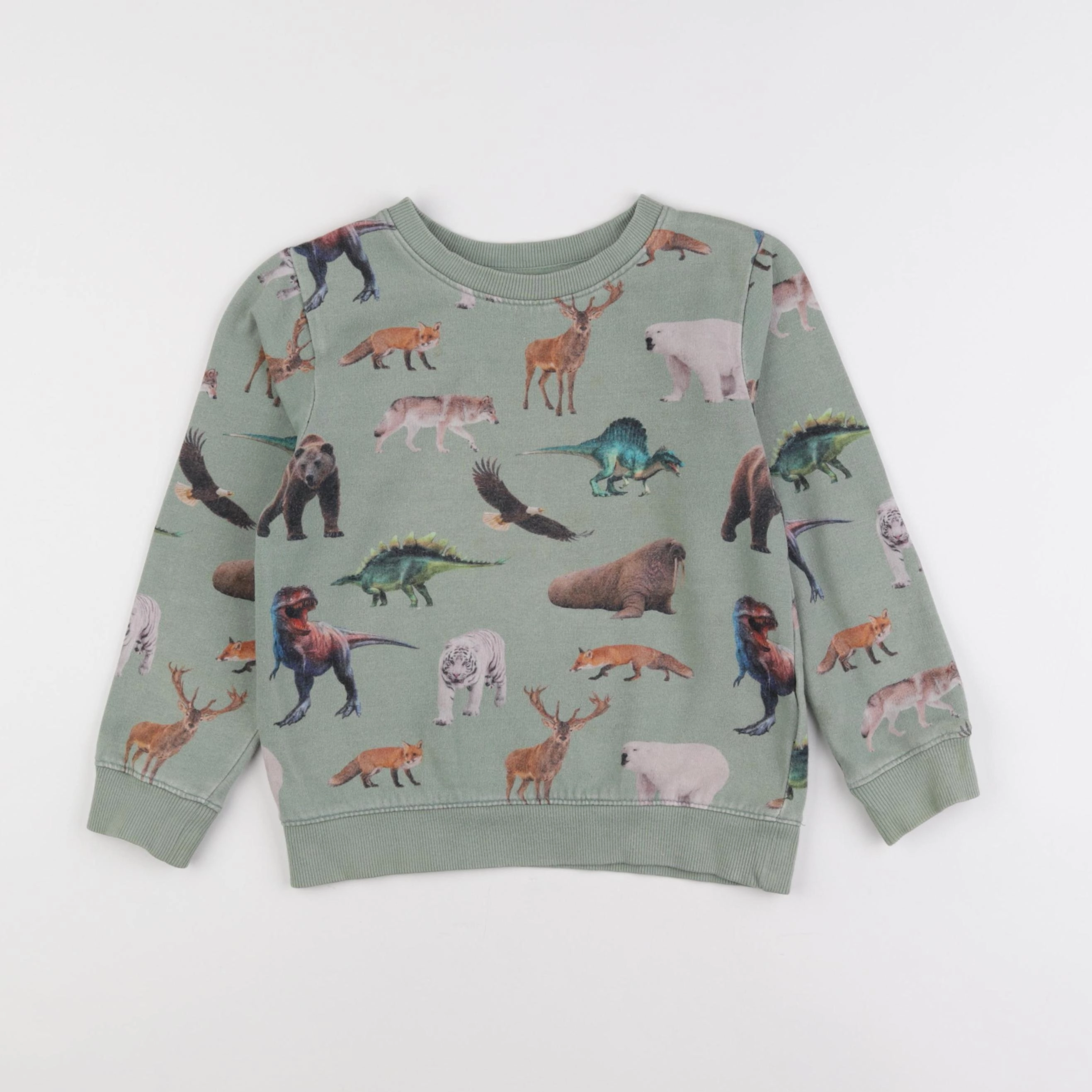 H&M - sweat vert - 6/8 ans