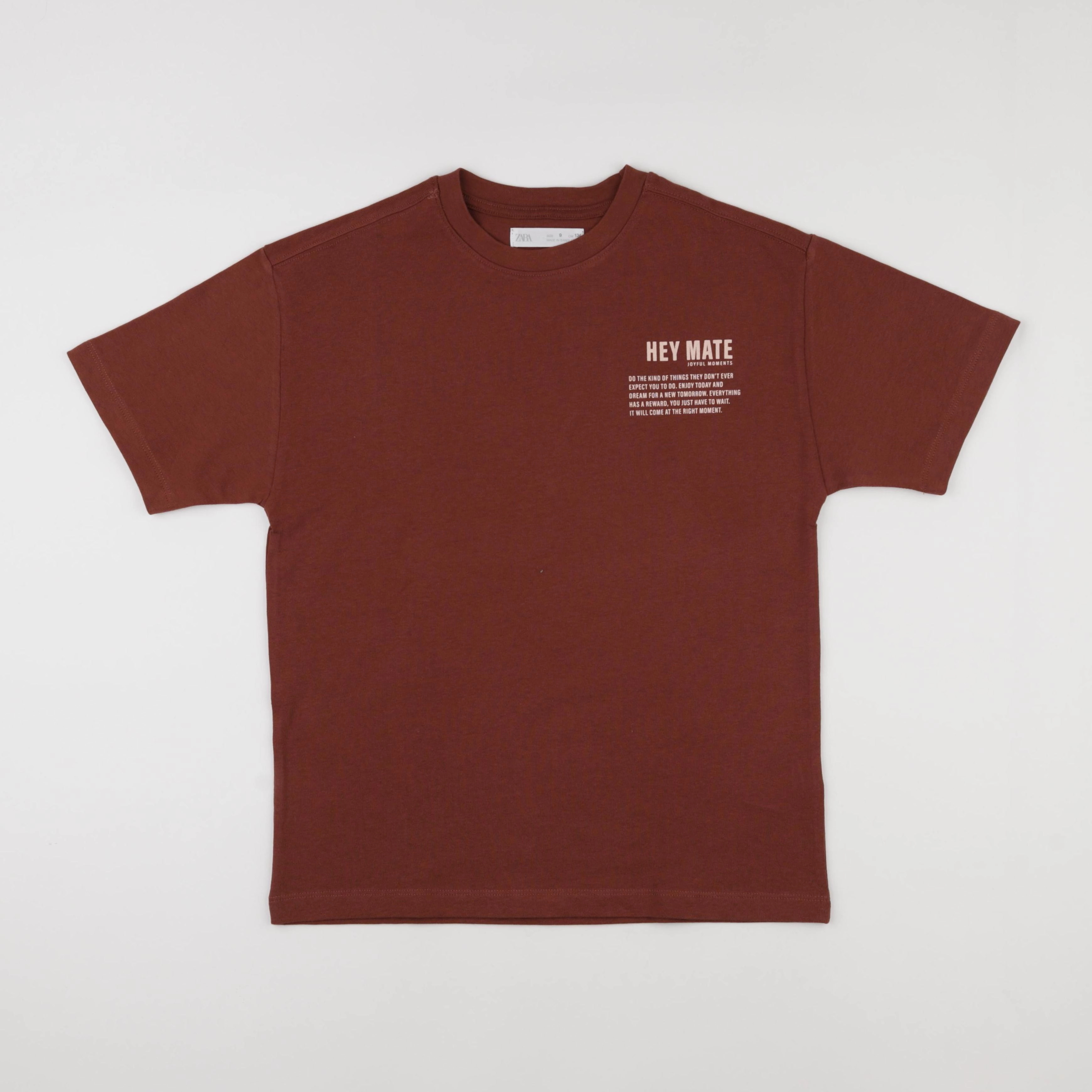 Zara - tee-shirt marron - 9 ans