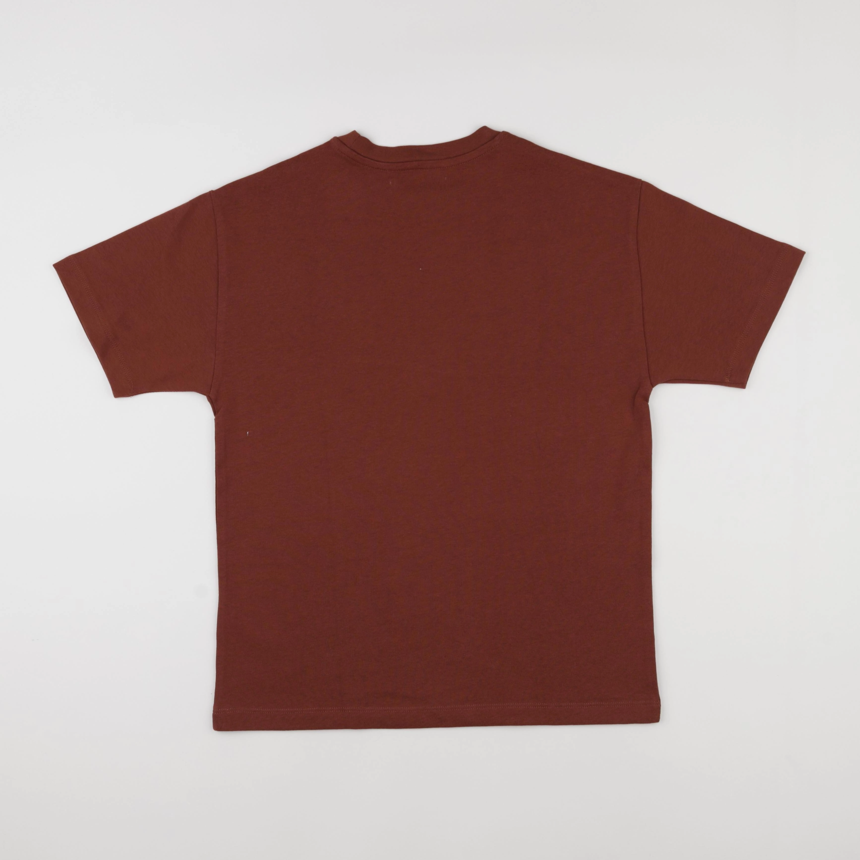 Zara - tee-shirt marron - 9 ans