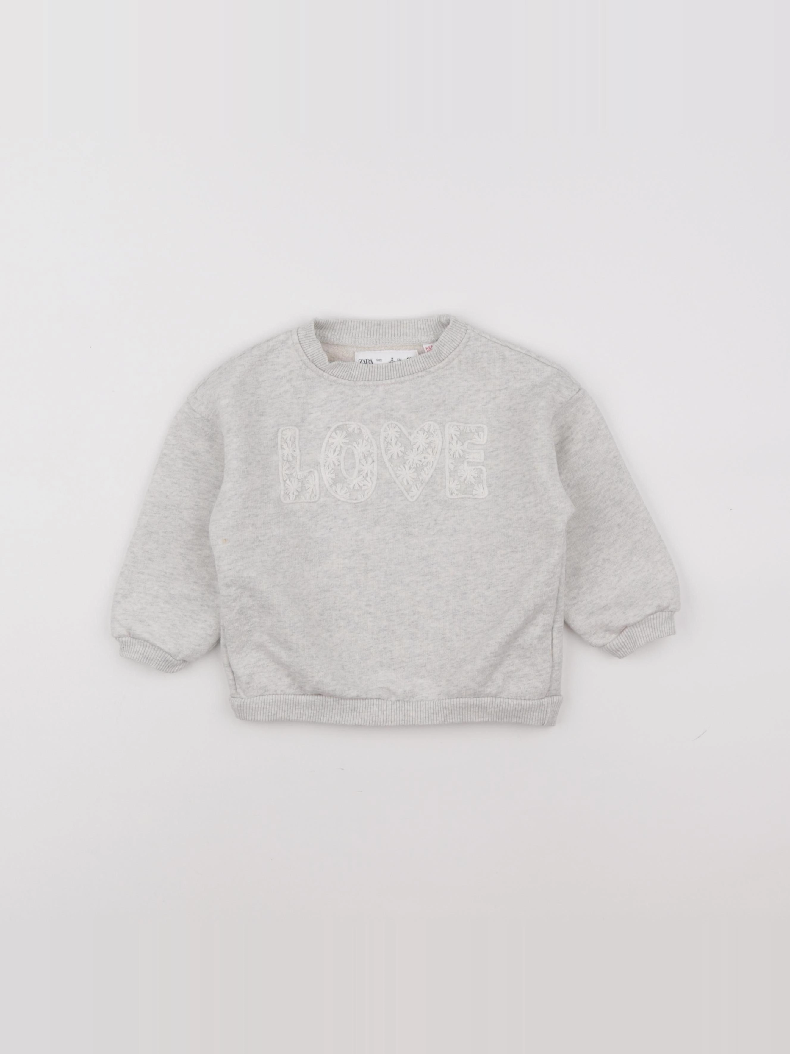 Zara - sweat gris - 2 ans