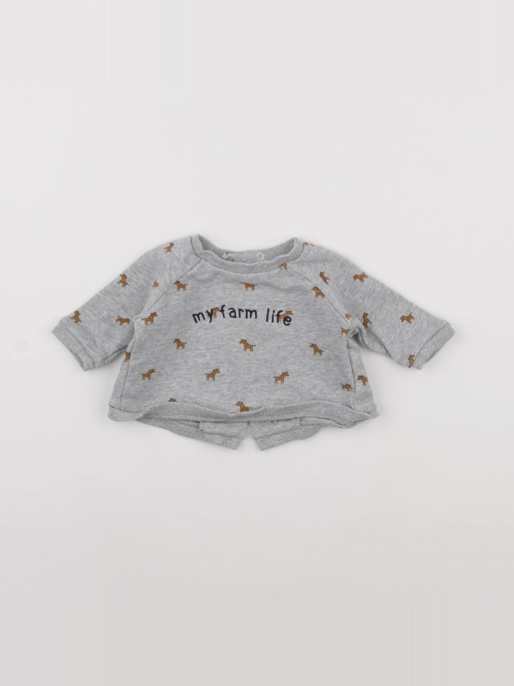 Boutchou - sweat gris - 1 mois