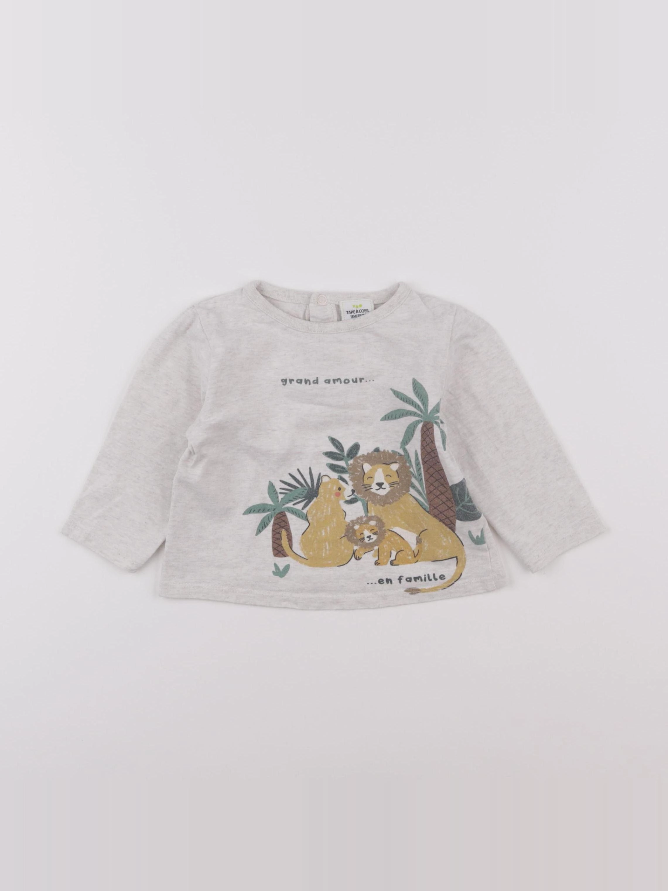 Tape à l'oeil - tee-shirt gris - 18 mois