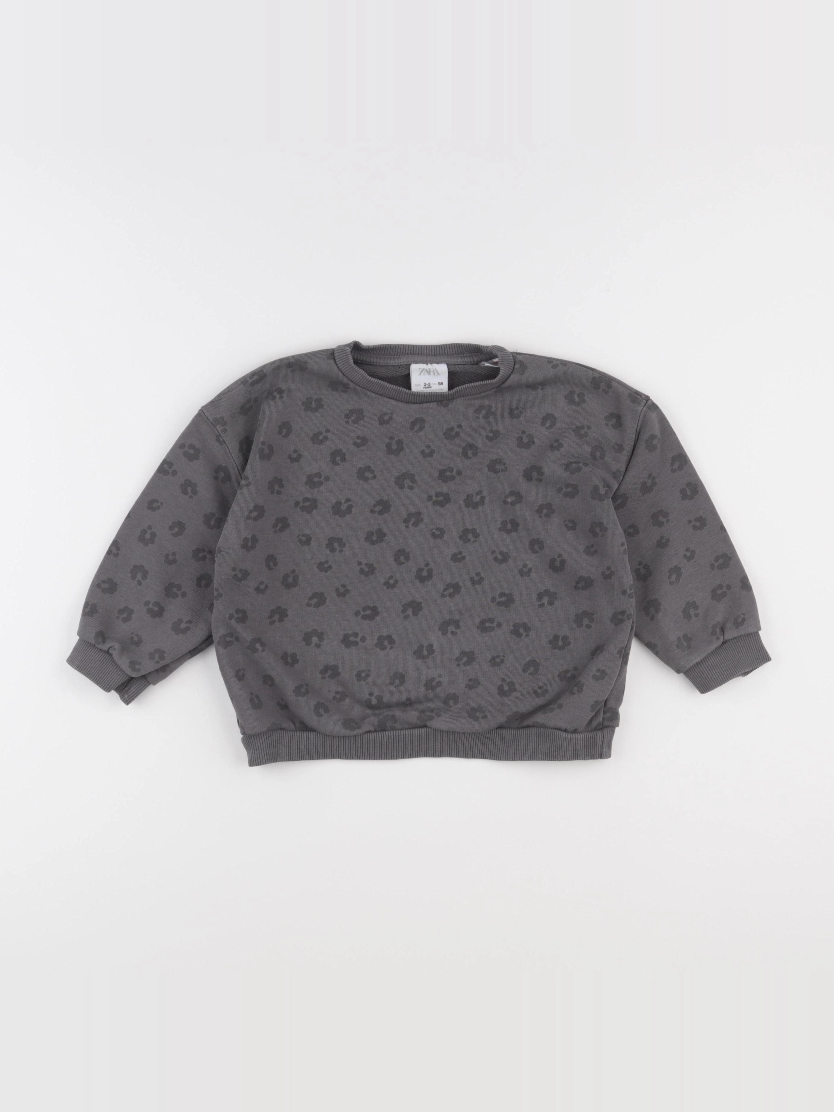 Zara - sweat gris - 2/3 ans