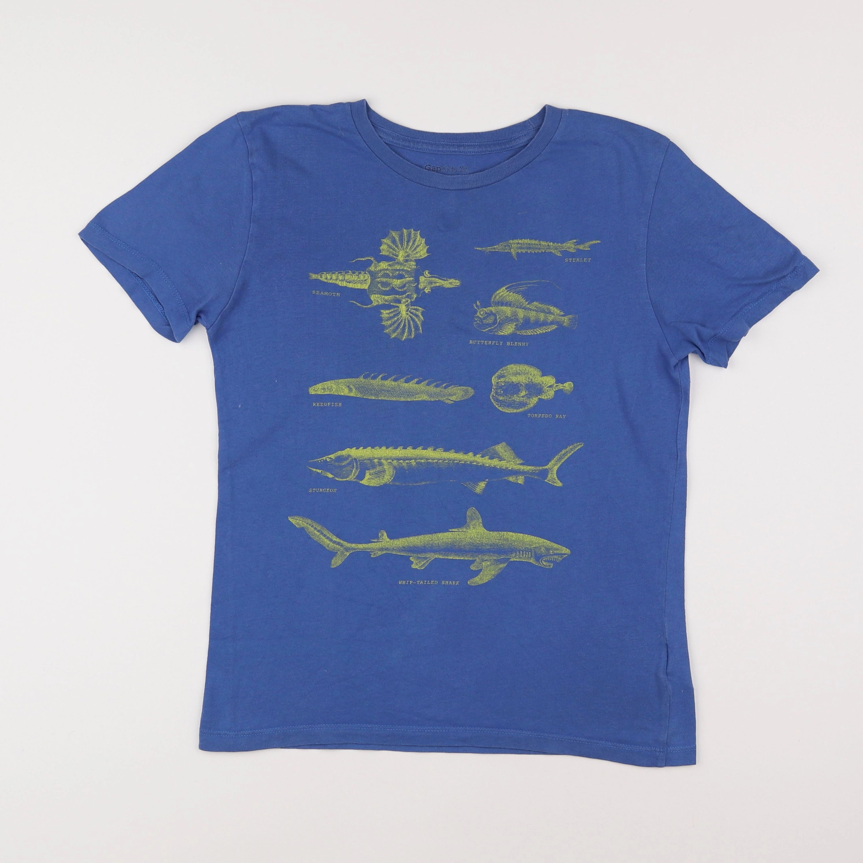 GAP - tee-shirt bleu - 8 ans