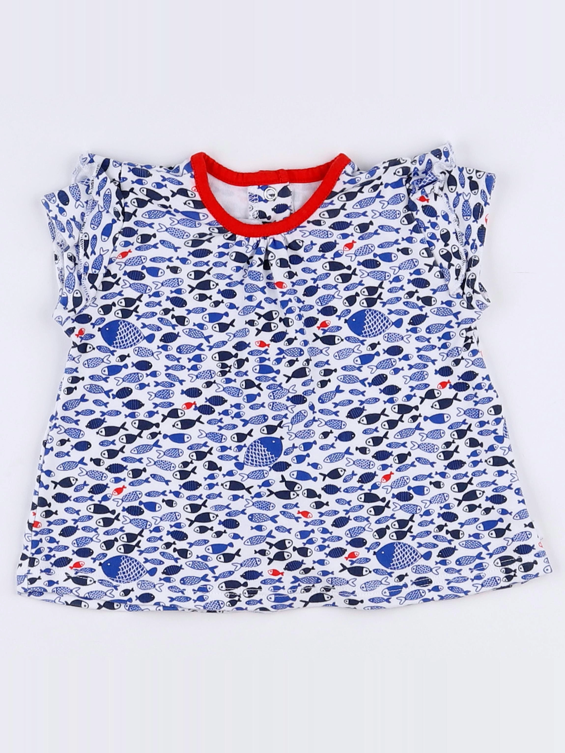 Absorba - tee-shirt bleu, blanc - 6 mois