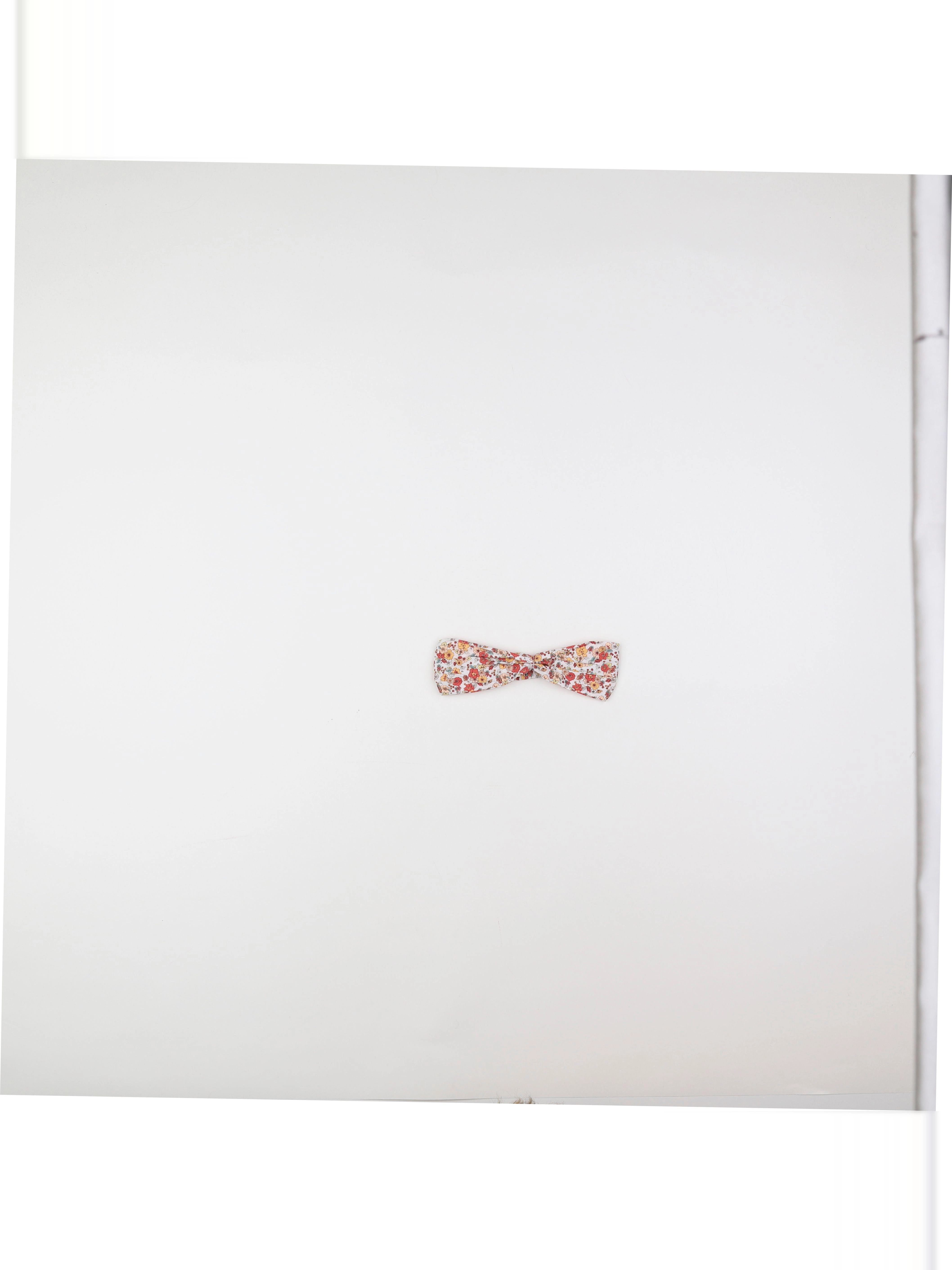 Vertbaudet - bandeau multicolore - 9 mois