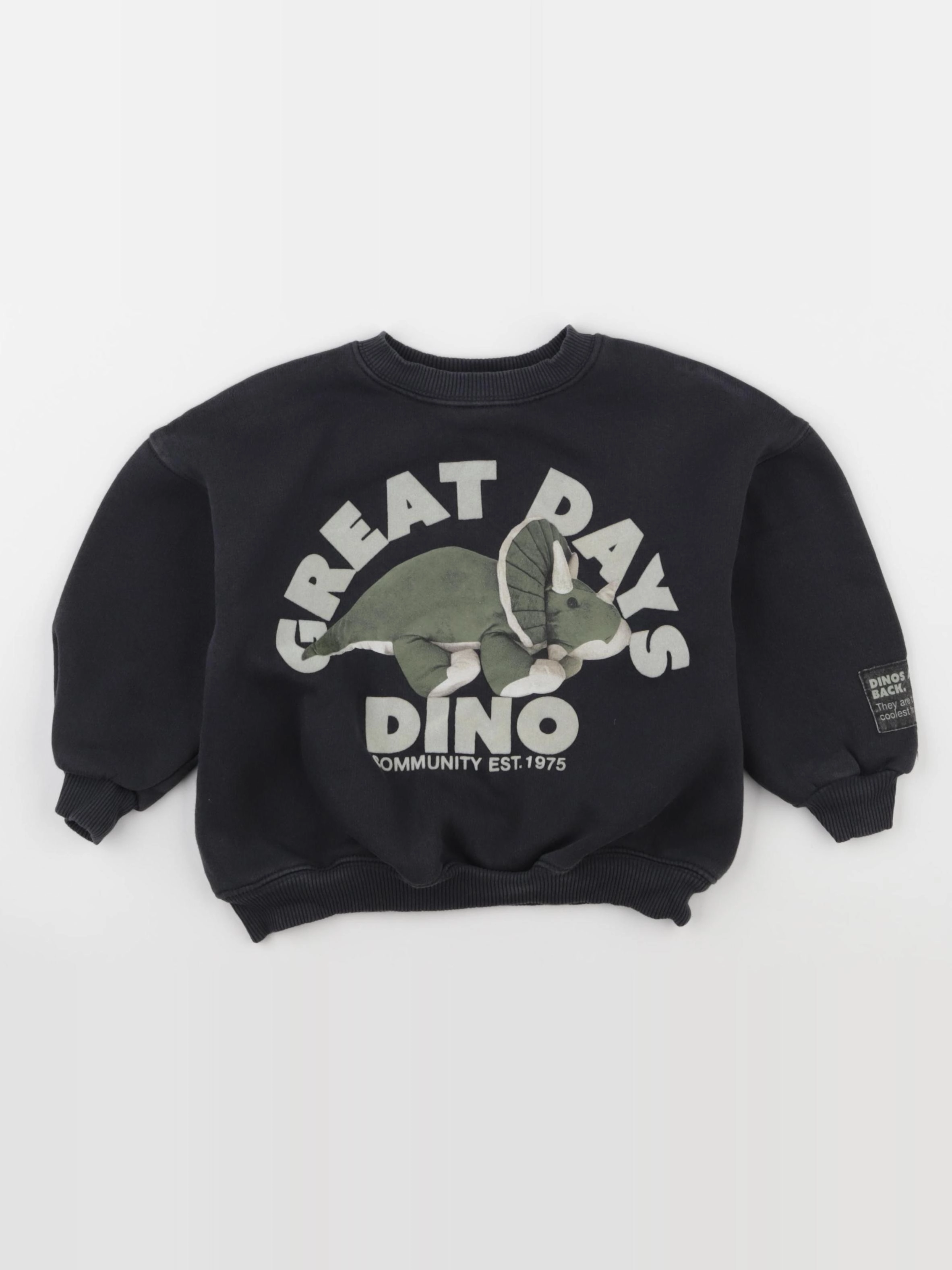 Zara - sweat gris - 3 ans