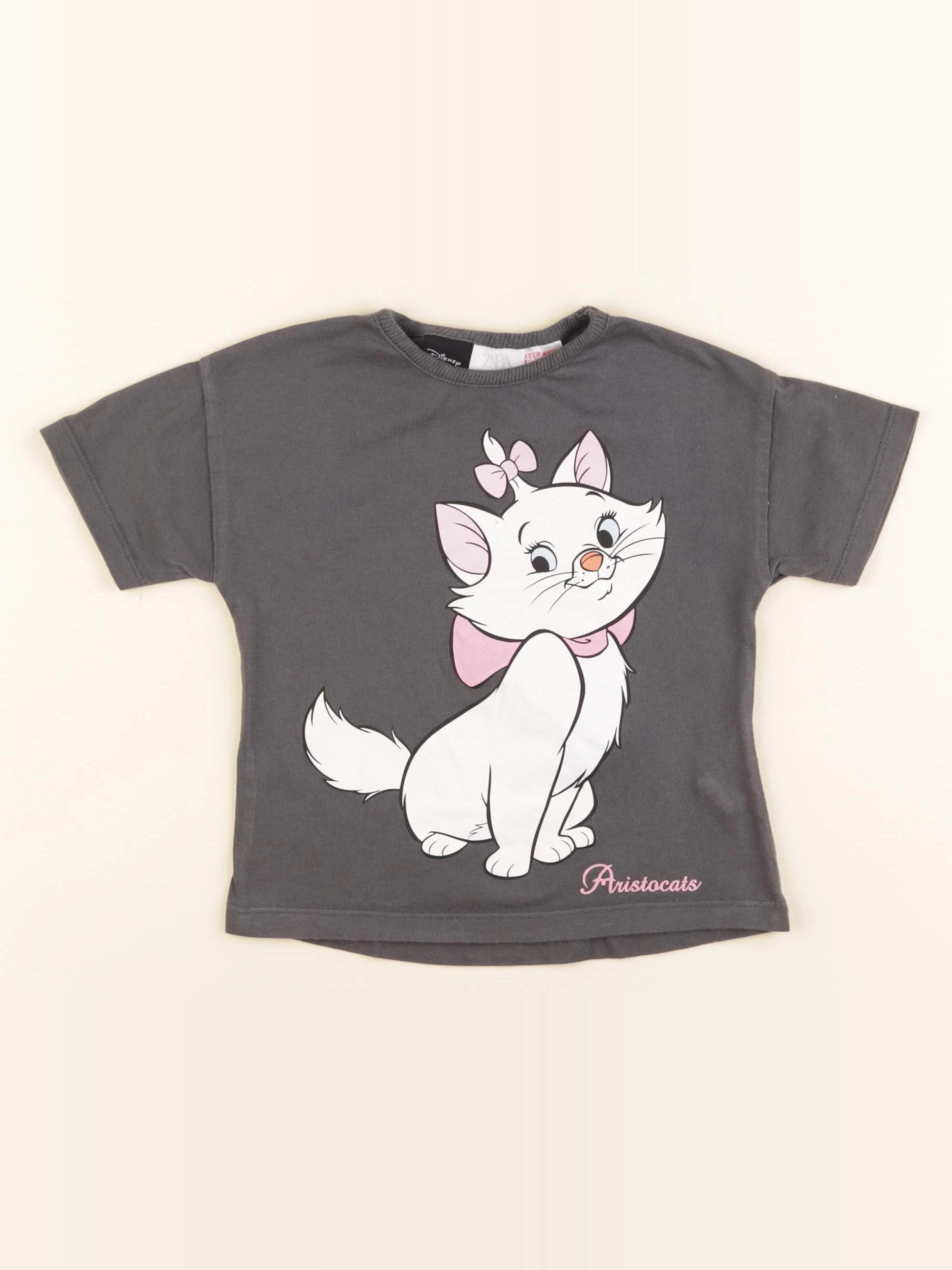 Zara - tee-shirt gris - 12/18 mois