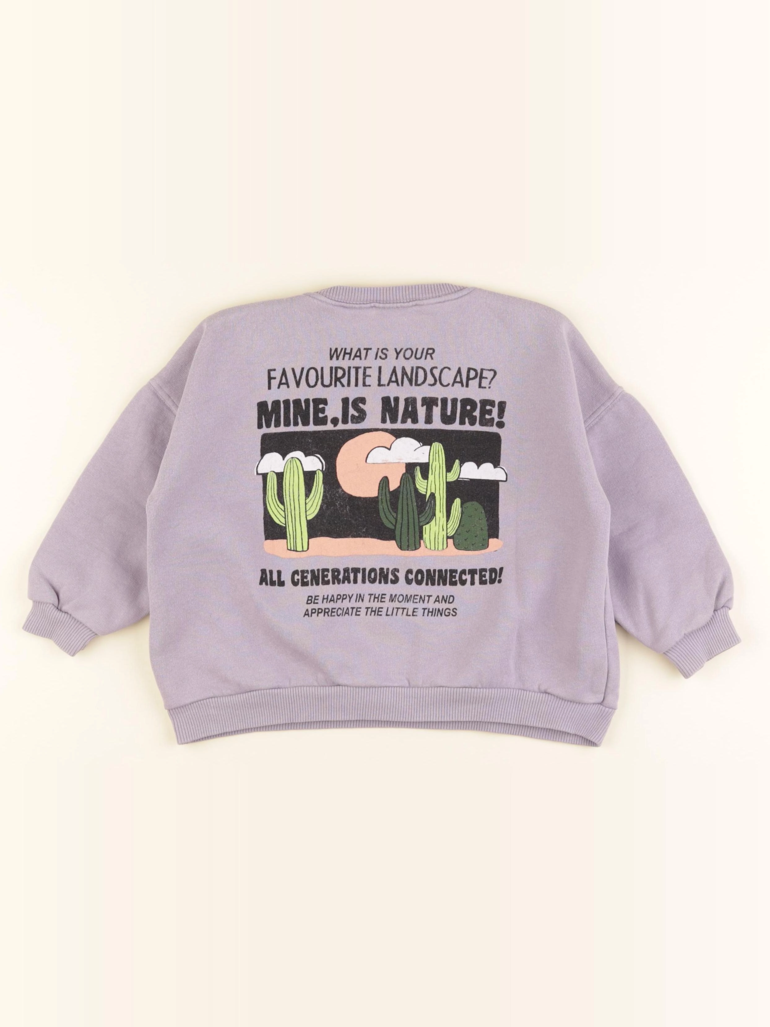 Zara - sweat imprimé au dos violet - 18/24 mois