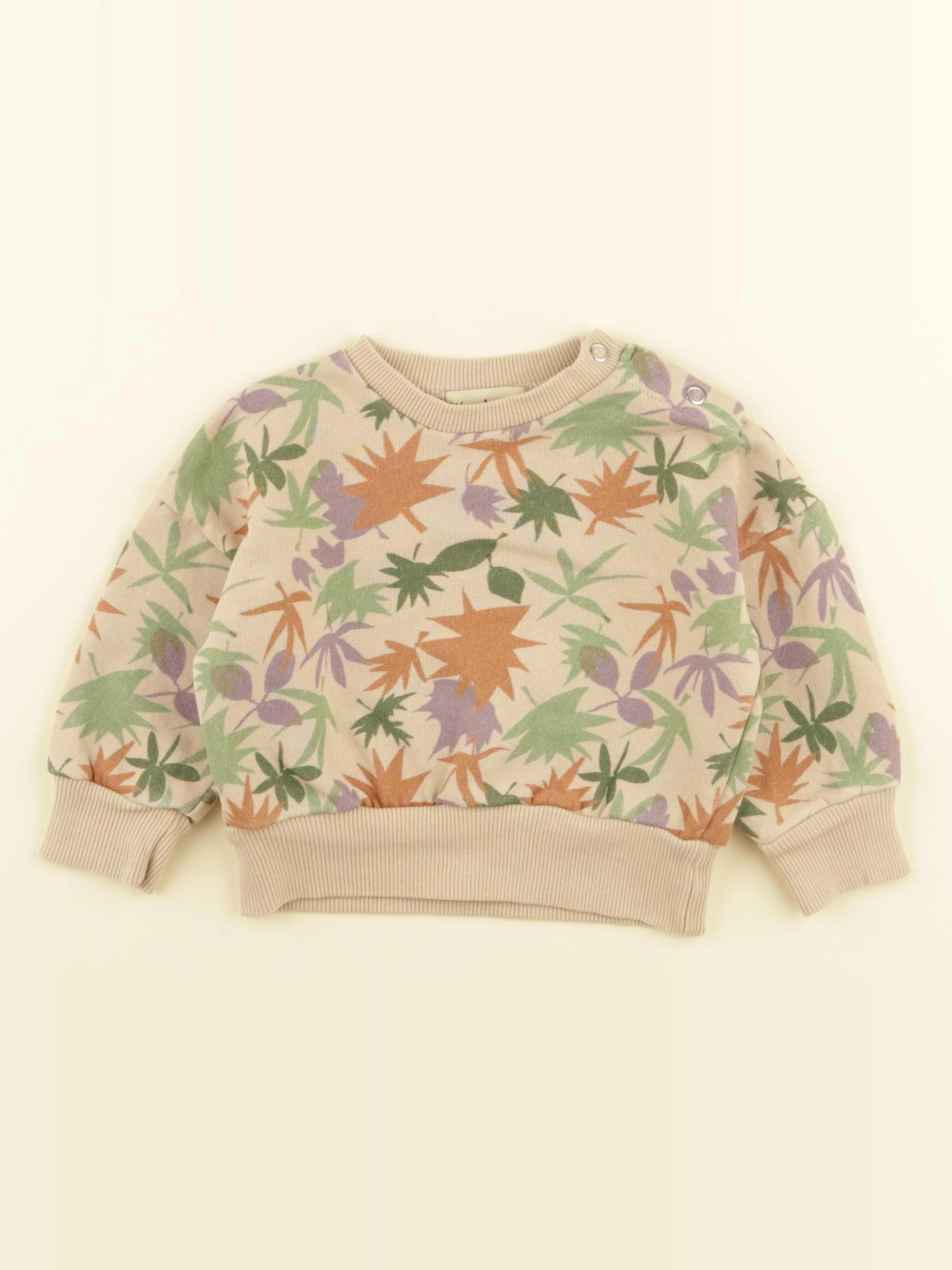Wander & Wonder - sweat beige, vert, violet - 0/3 mois