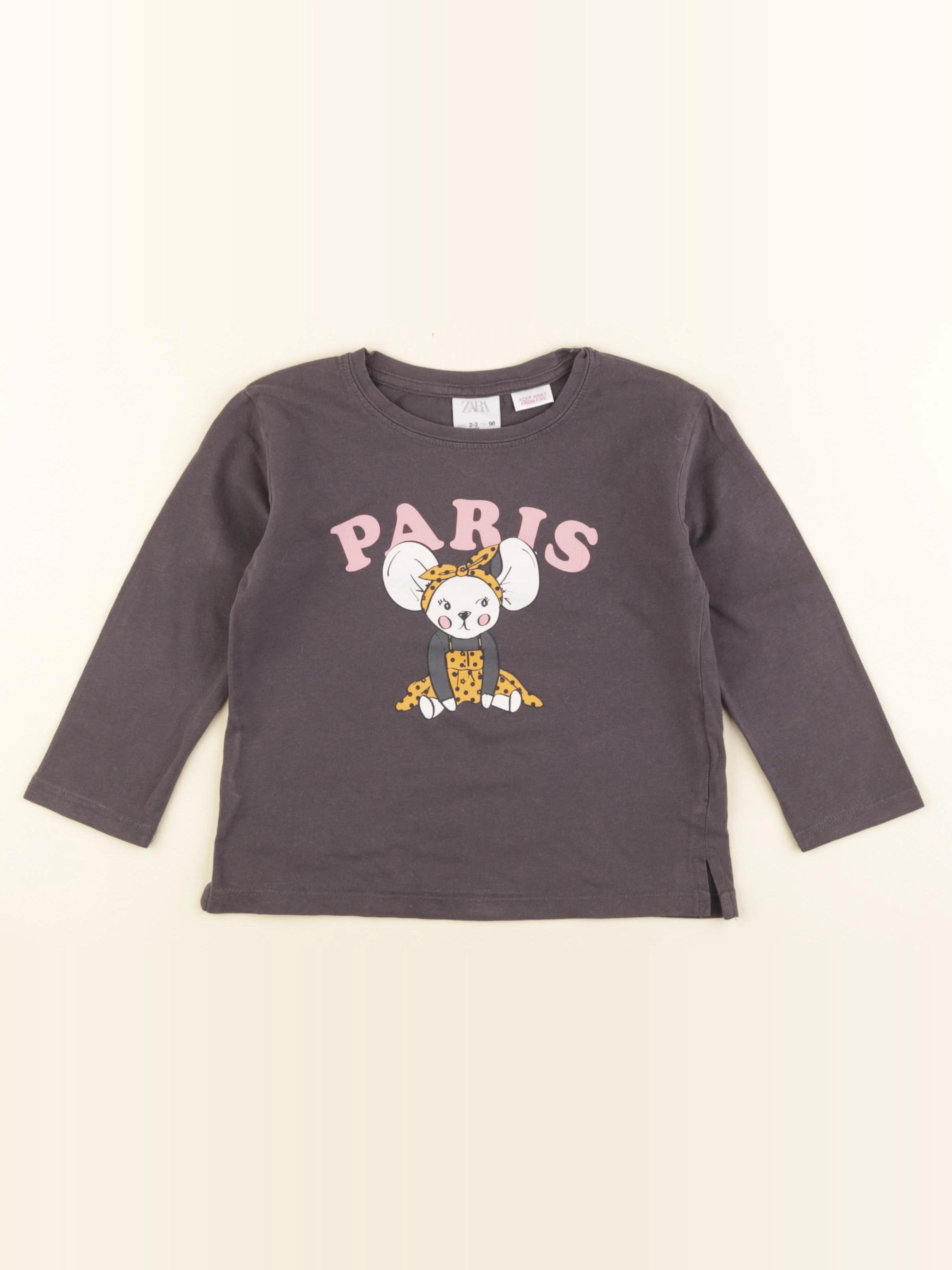 Zara - tee-shirt gris - 2/3 ans