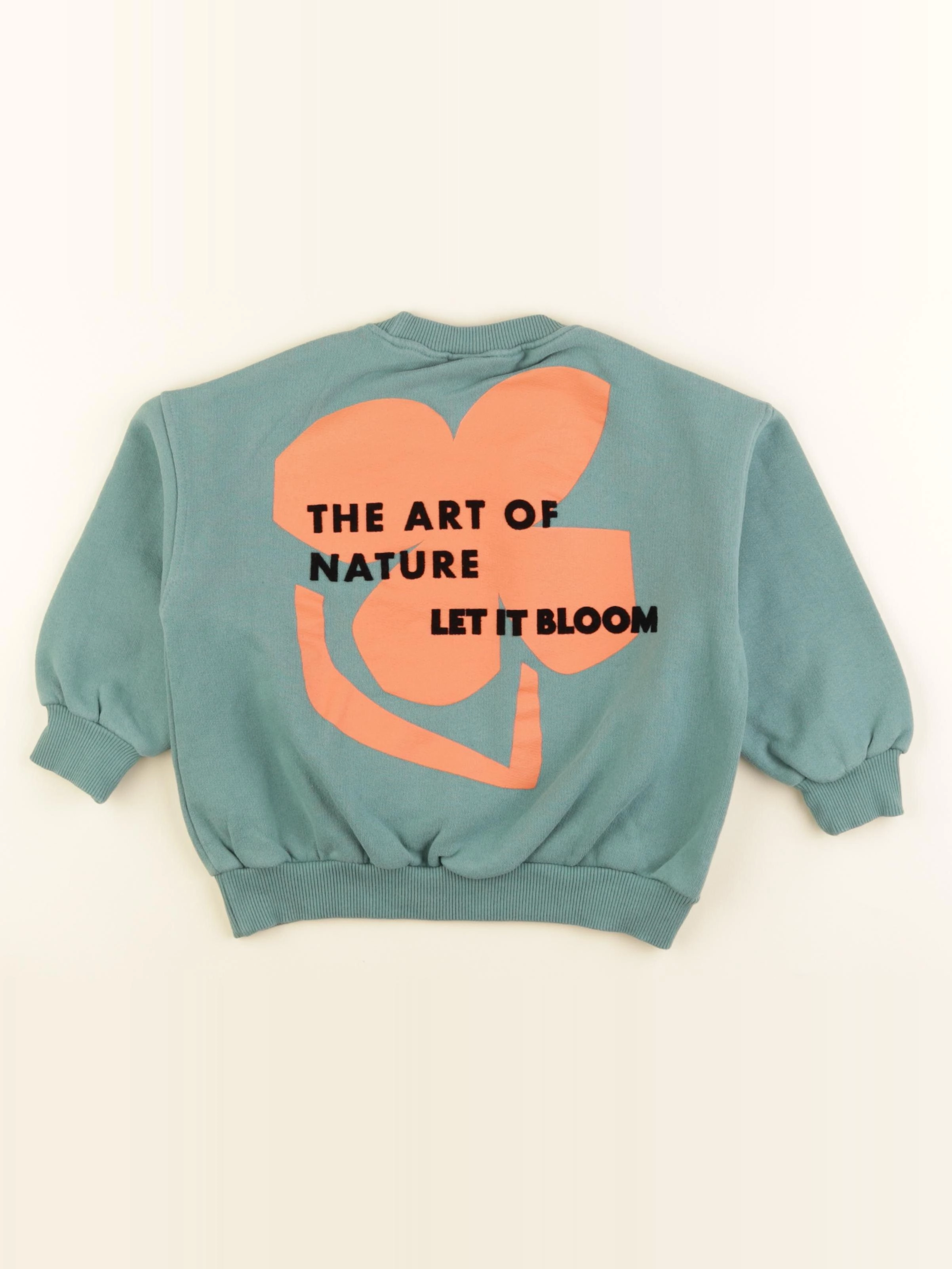 Zara - sweat imprimé au dos vert - 5 ans