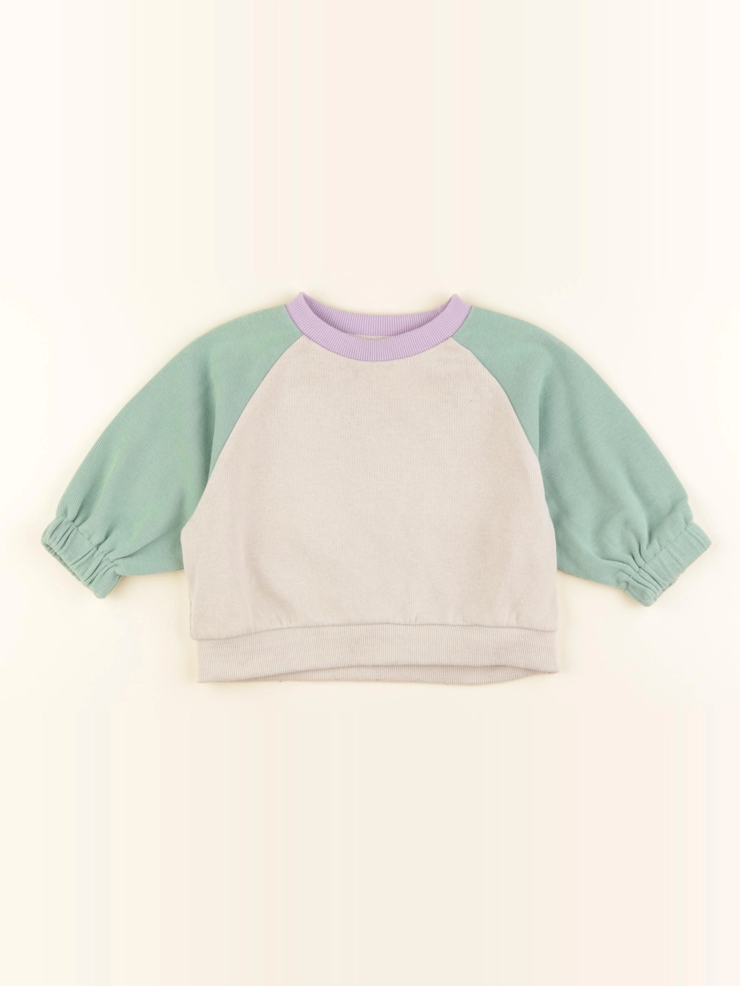 Gamin gamine - sweat multicolore - 9/12 mois