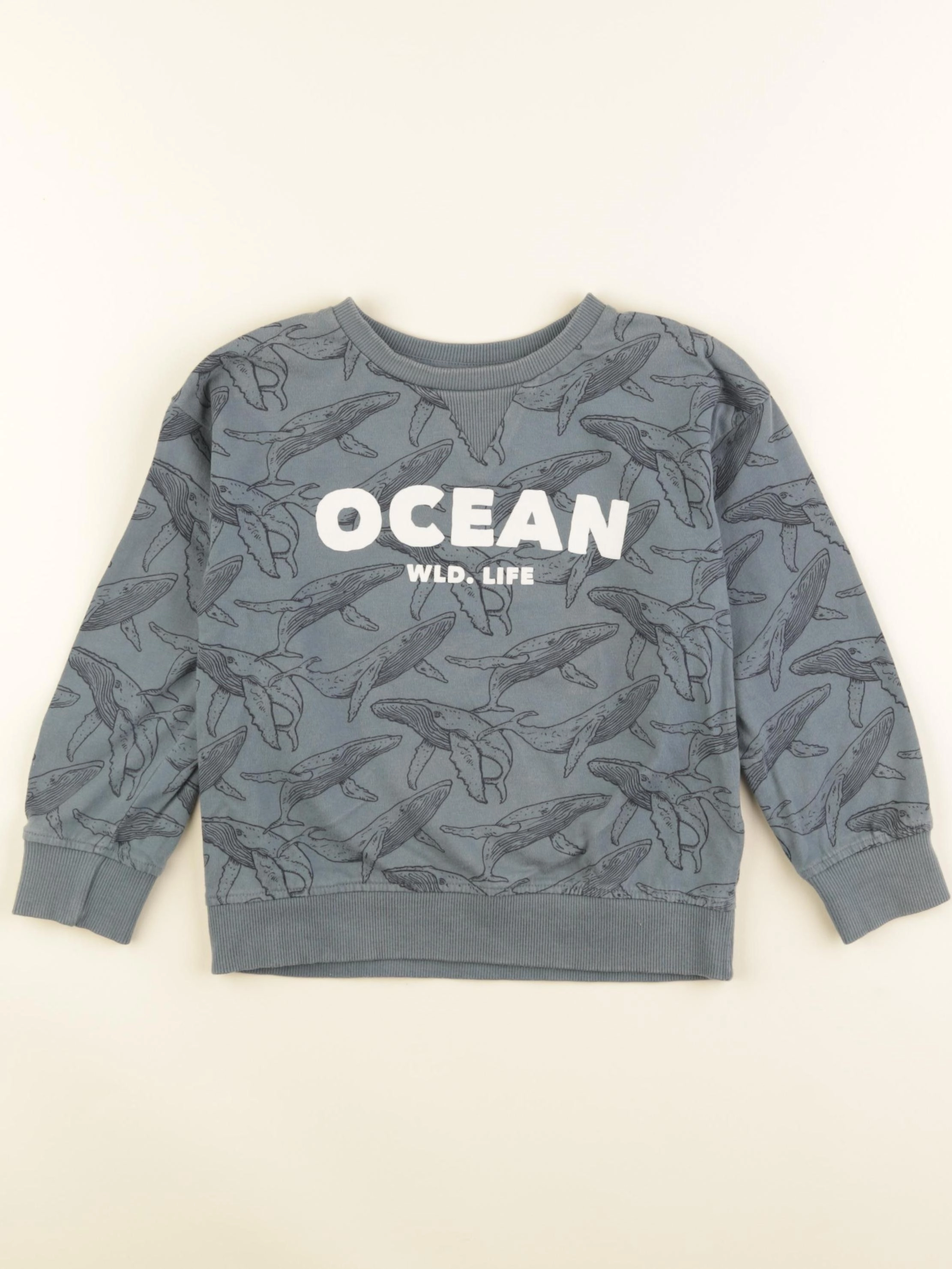 Vertbaudet - sweat gris - 6 ans