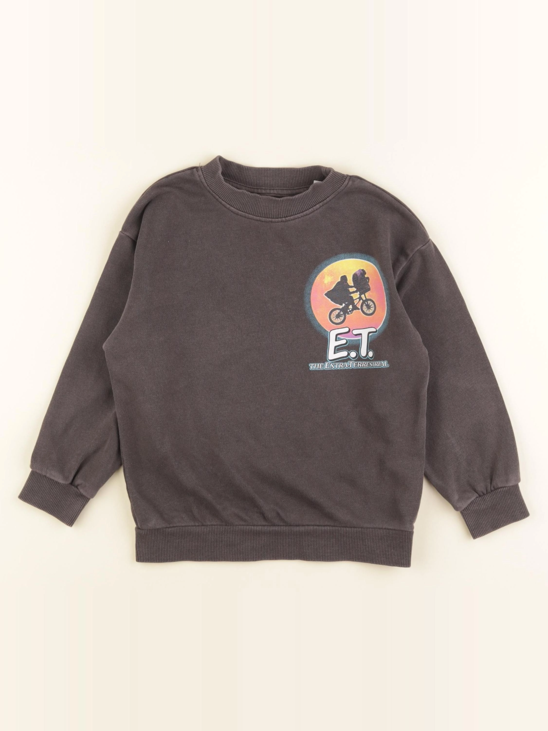 H&M - sweat imprimé au dos gris - 2/4 ans