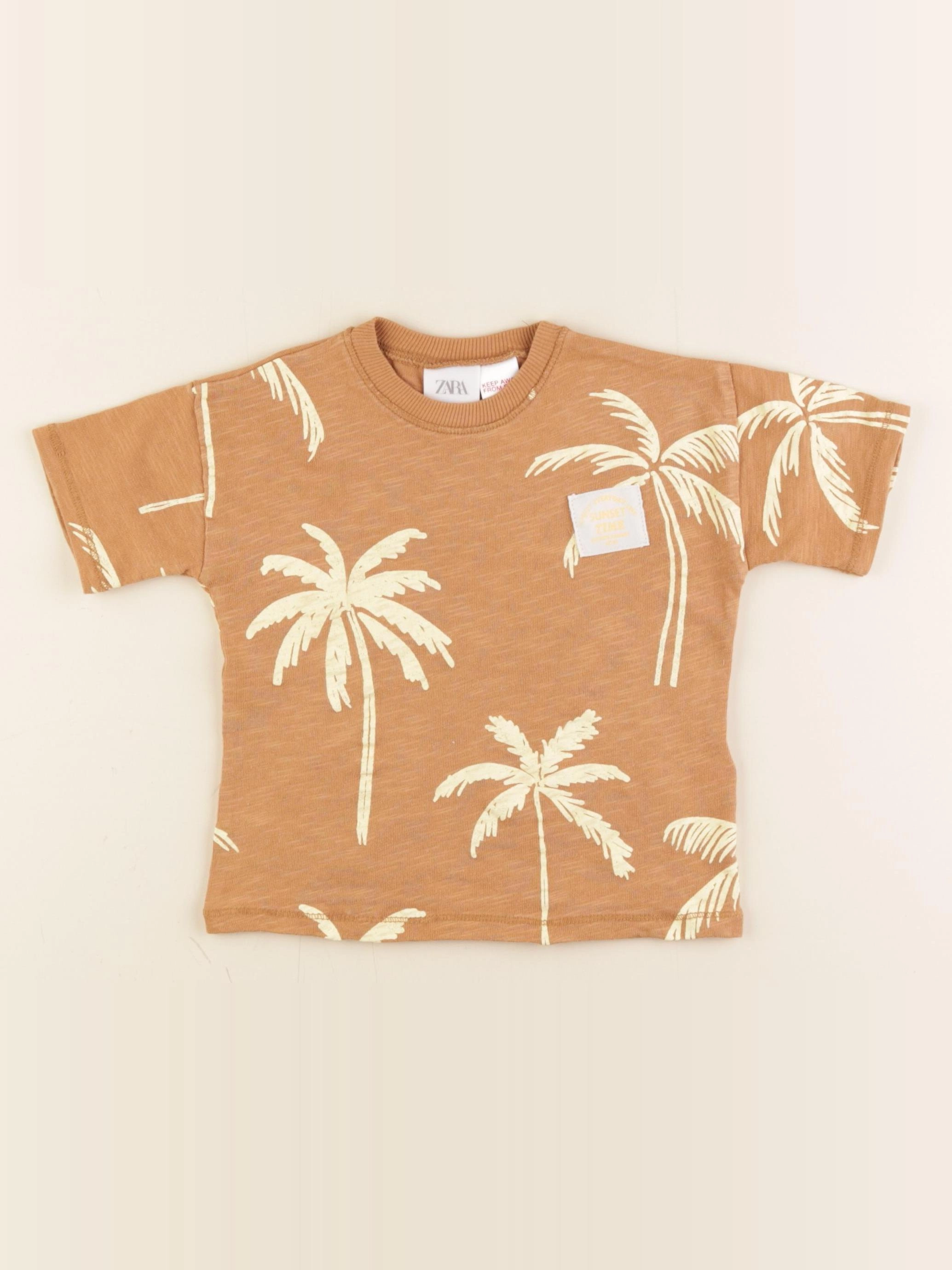 Zara - tee-shirt marron, jaune - 18 mois