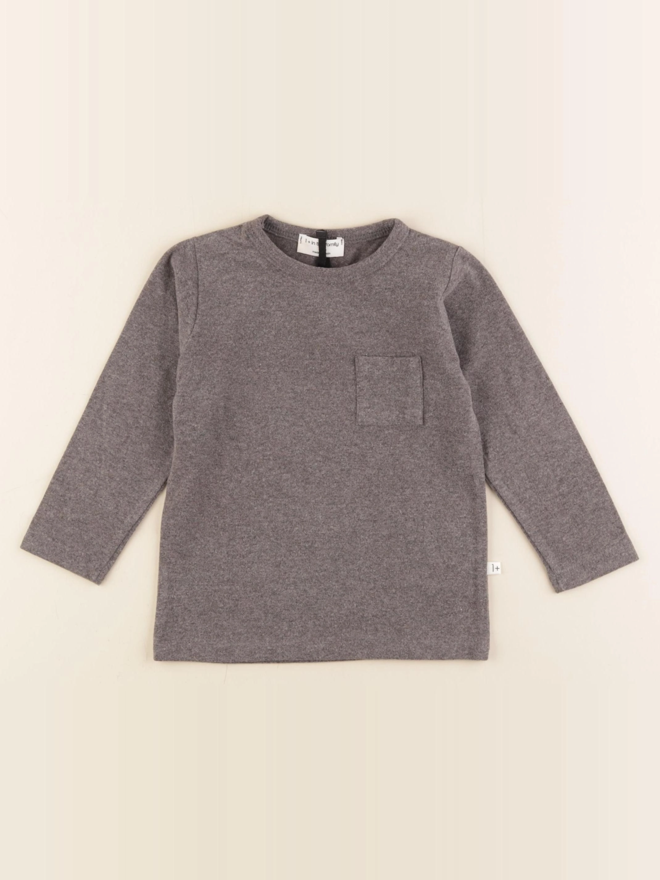 1+ In the family - tee-shirt gris - 24 mois