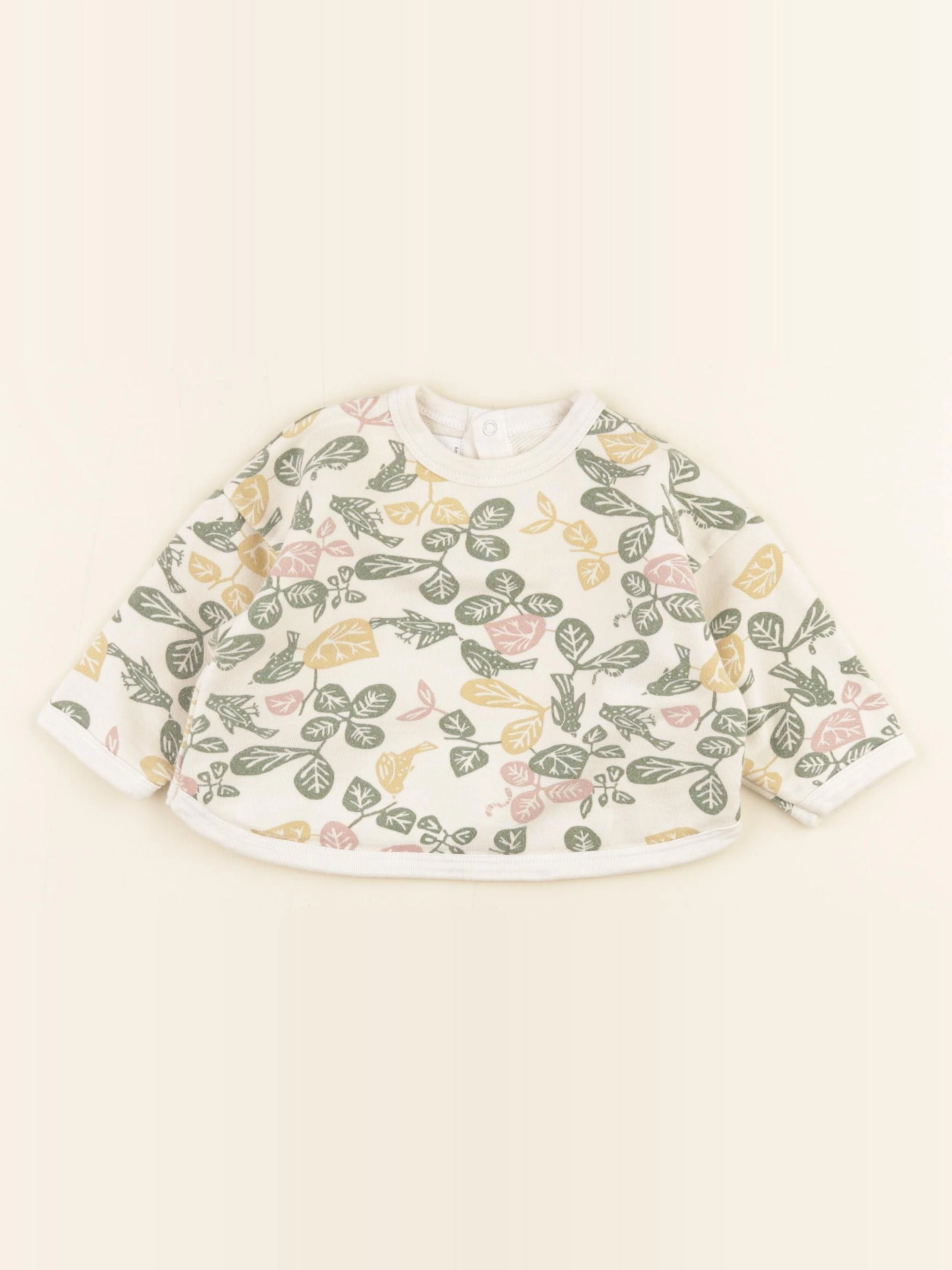 Petit Bateau - sweat multicolore - 6 mois
