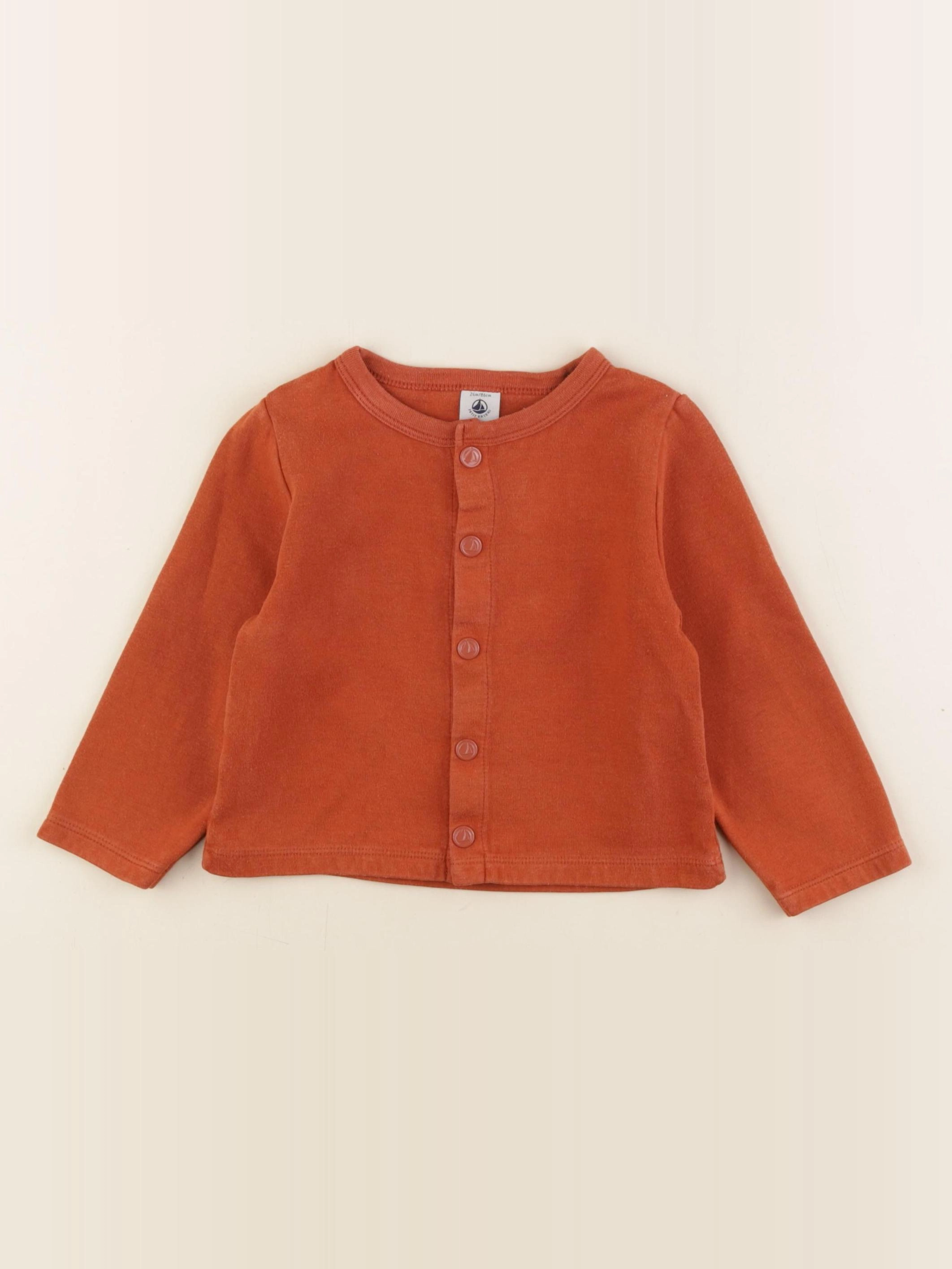 Petit Bateau - tee-shirt marron - 24 mois