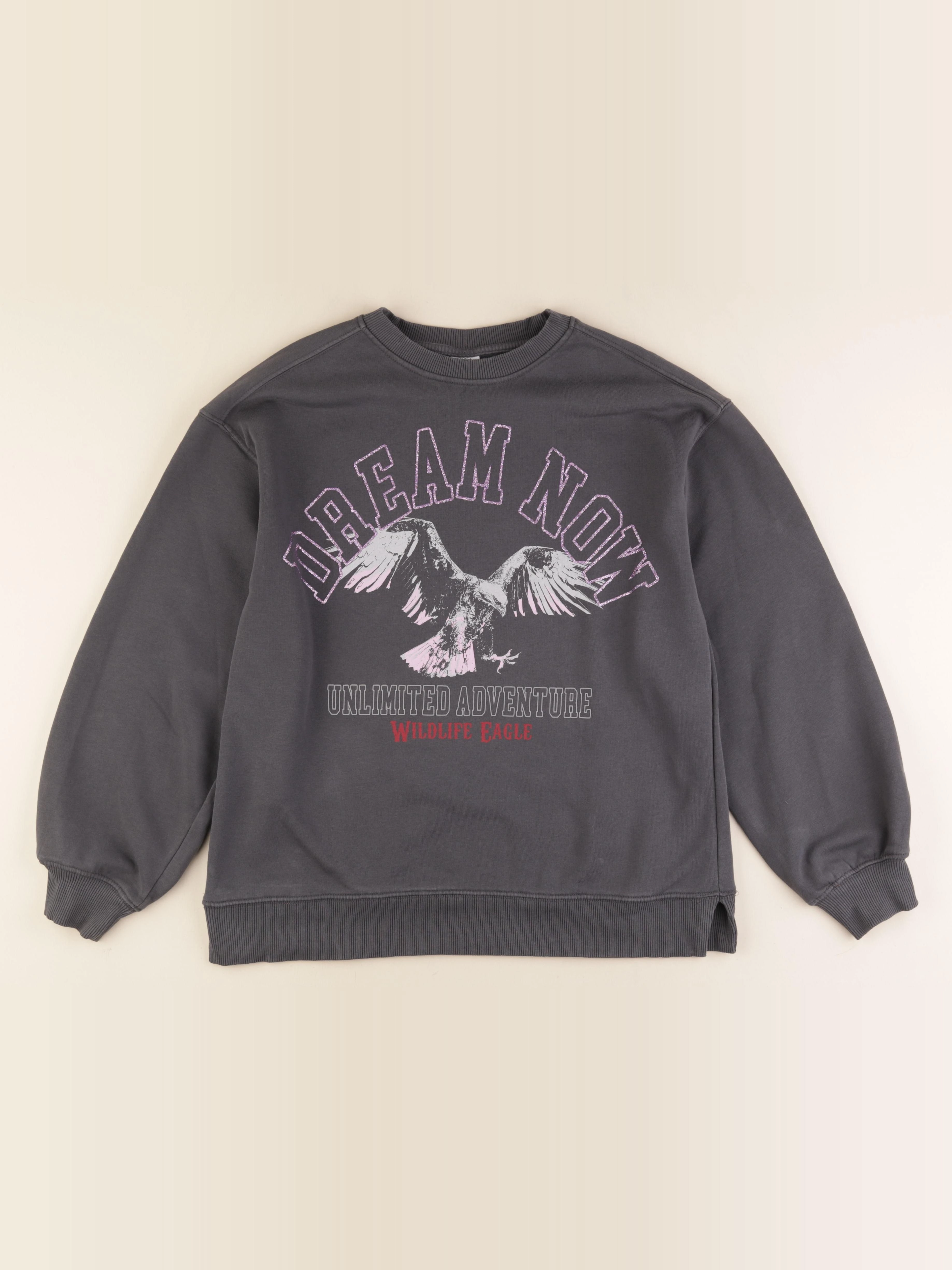 Zara - sweat gris - 13/14 ans