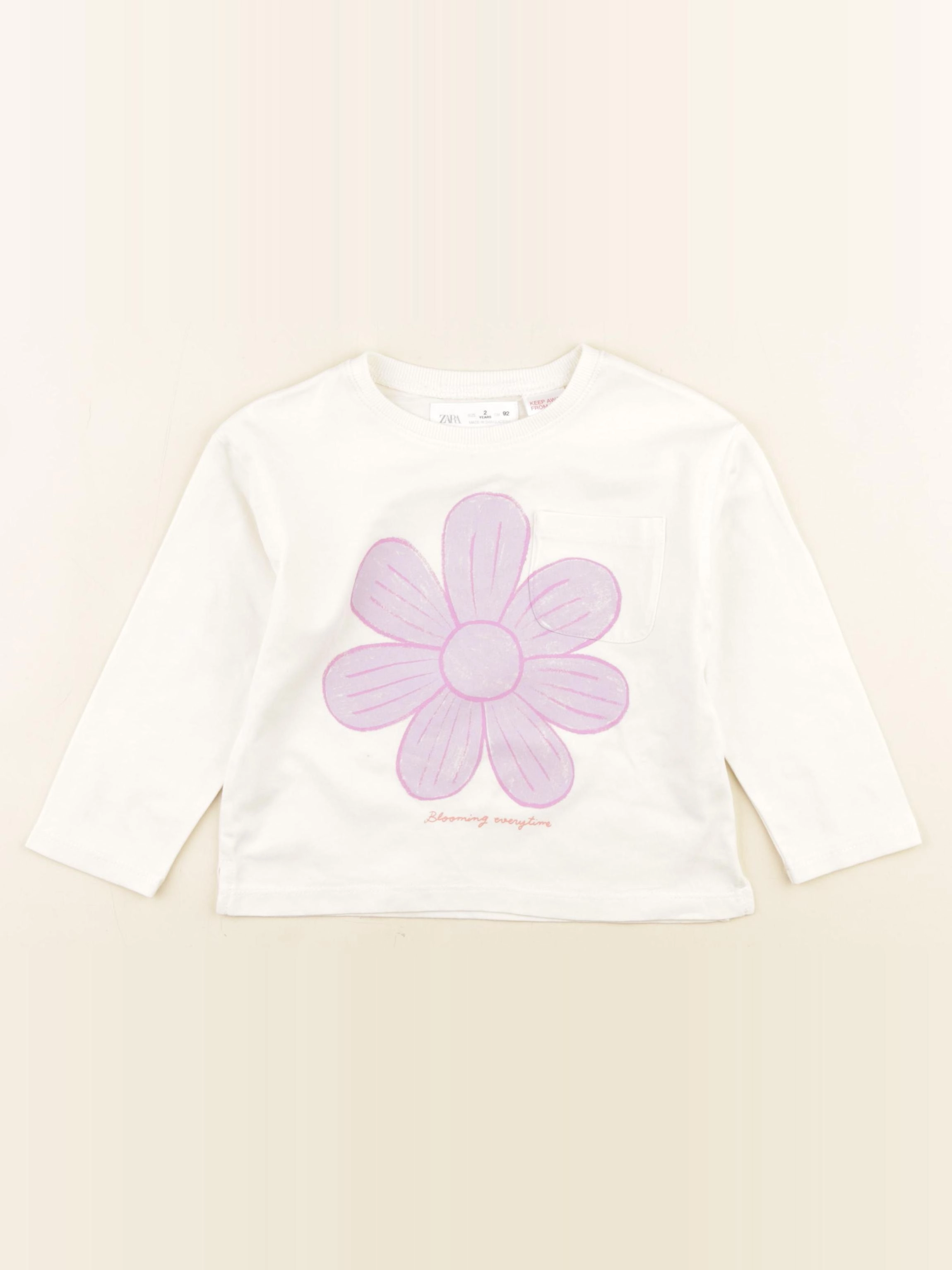Zara - tee-shirt beige - 2 ans