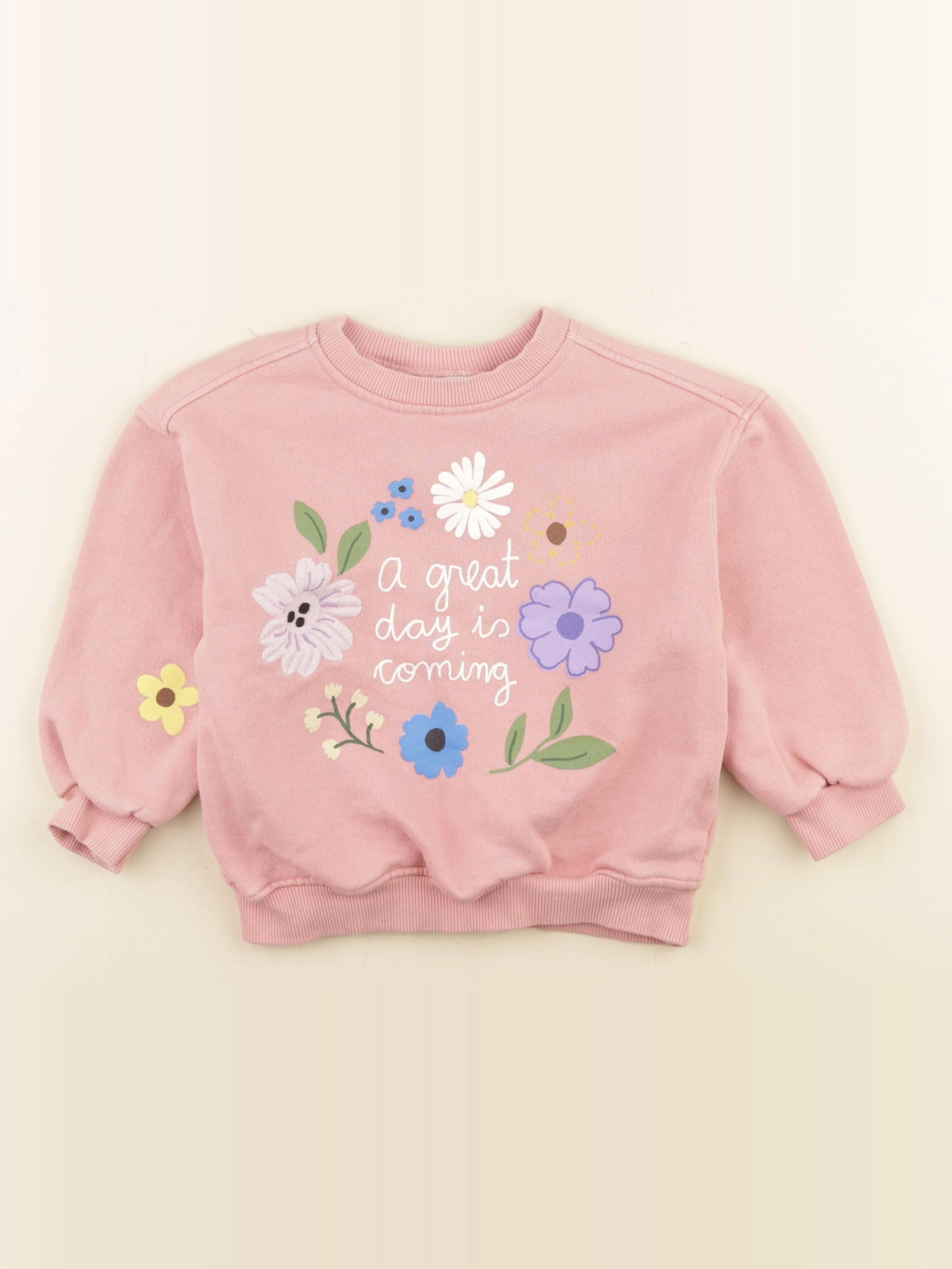 Zara - sweat imprimé au dos rose - 2 ans