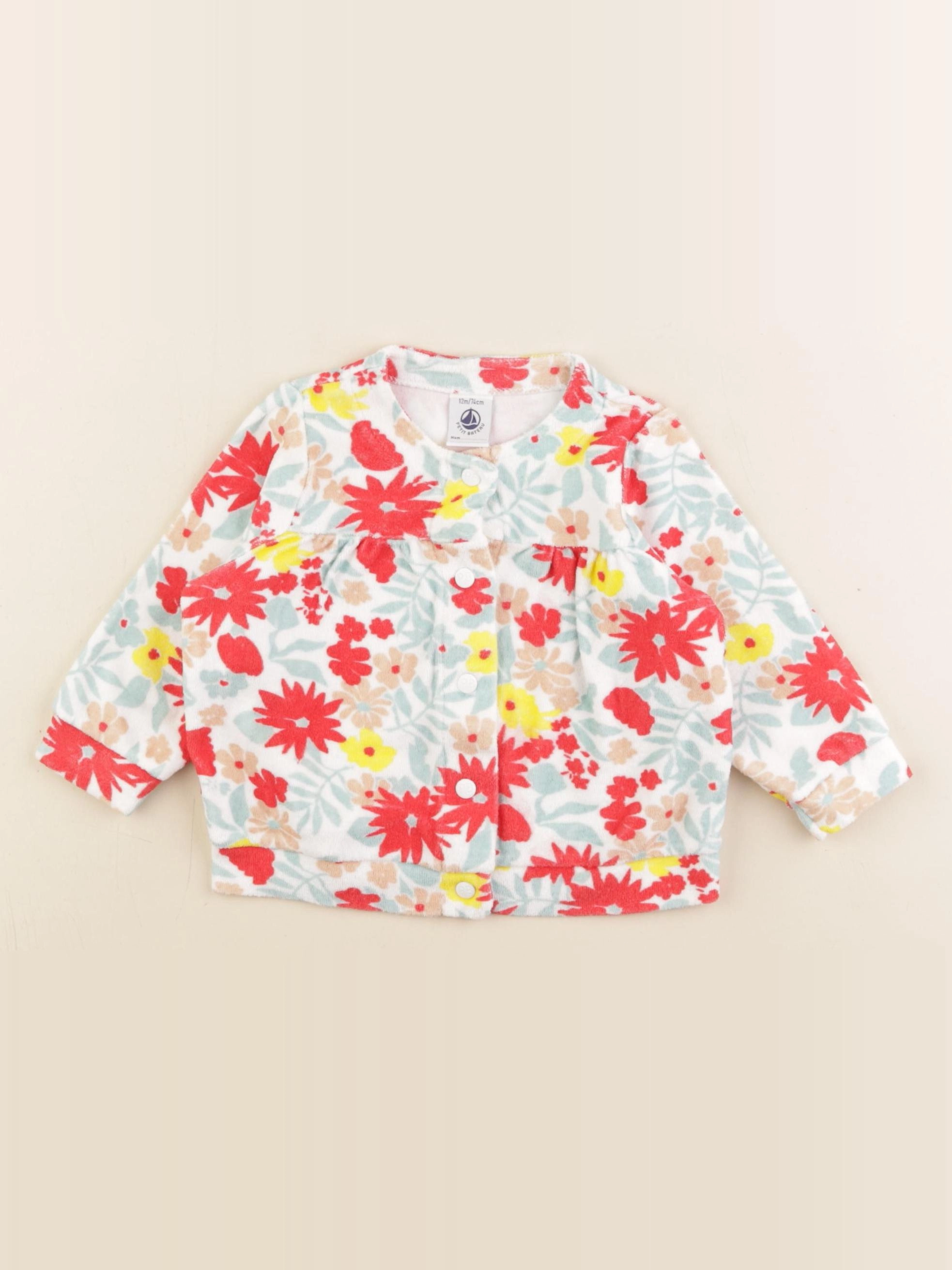 Petit Bateau - sweat multicolore - 12 mois