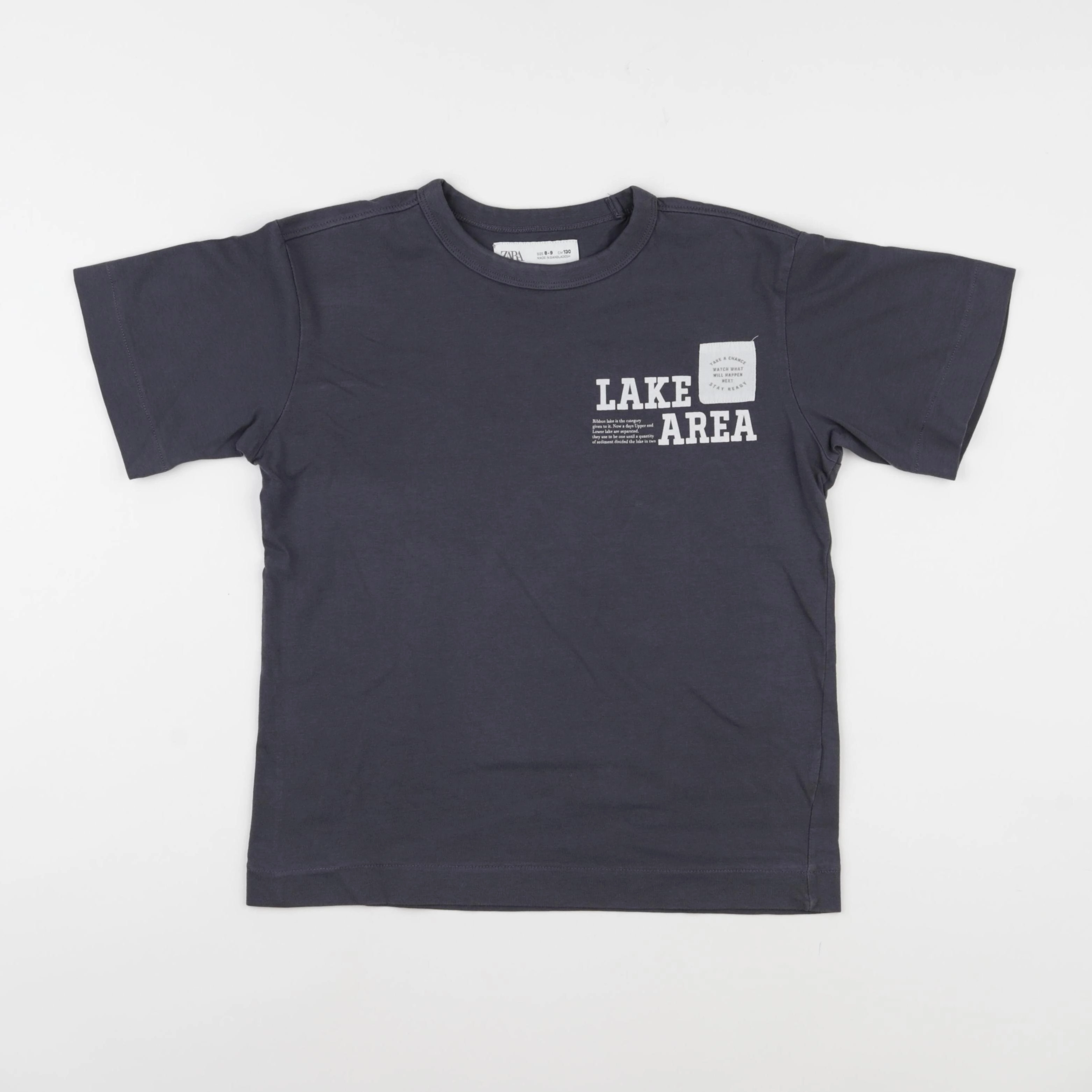 Zara - tee-shirt gris - 8/9 ans
