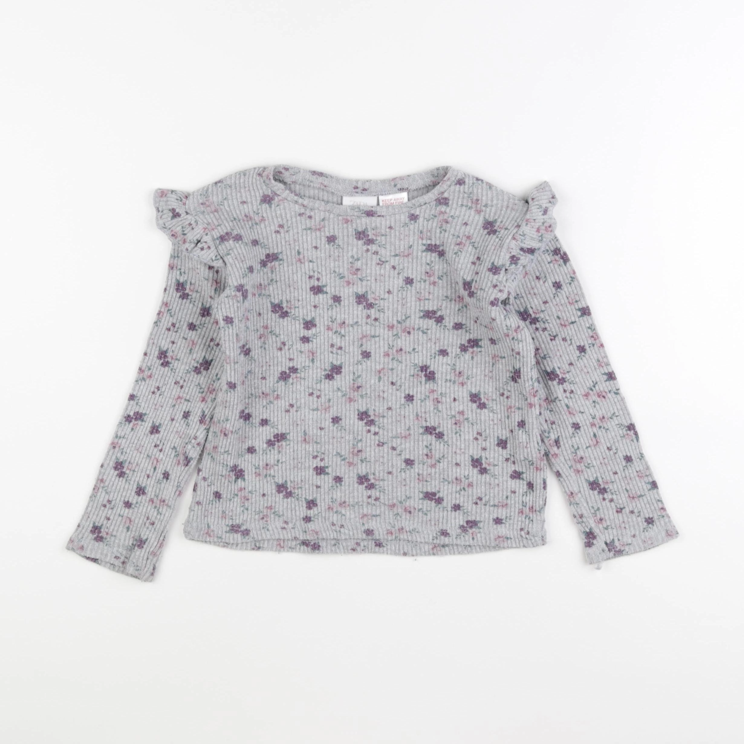 Zara - tee-shirt gris, violet - 3/4 ans