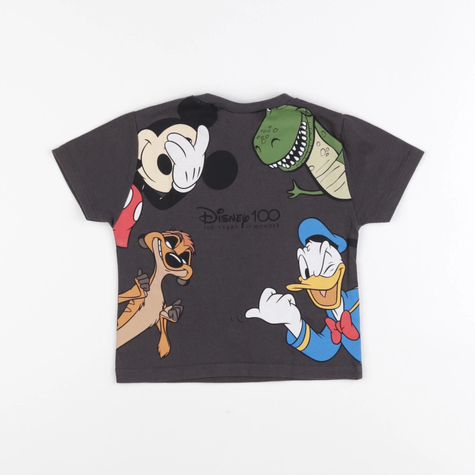 Zara - tee-shirt imprimé au dos marron - 9/12 mois
