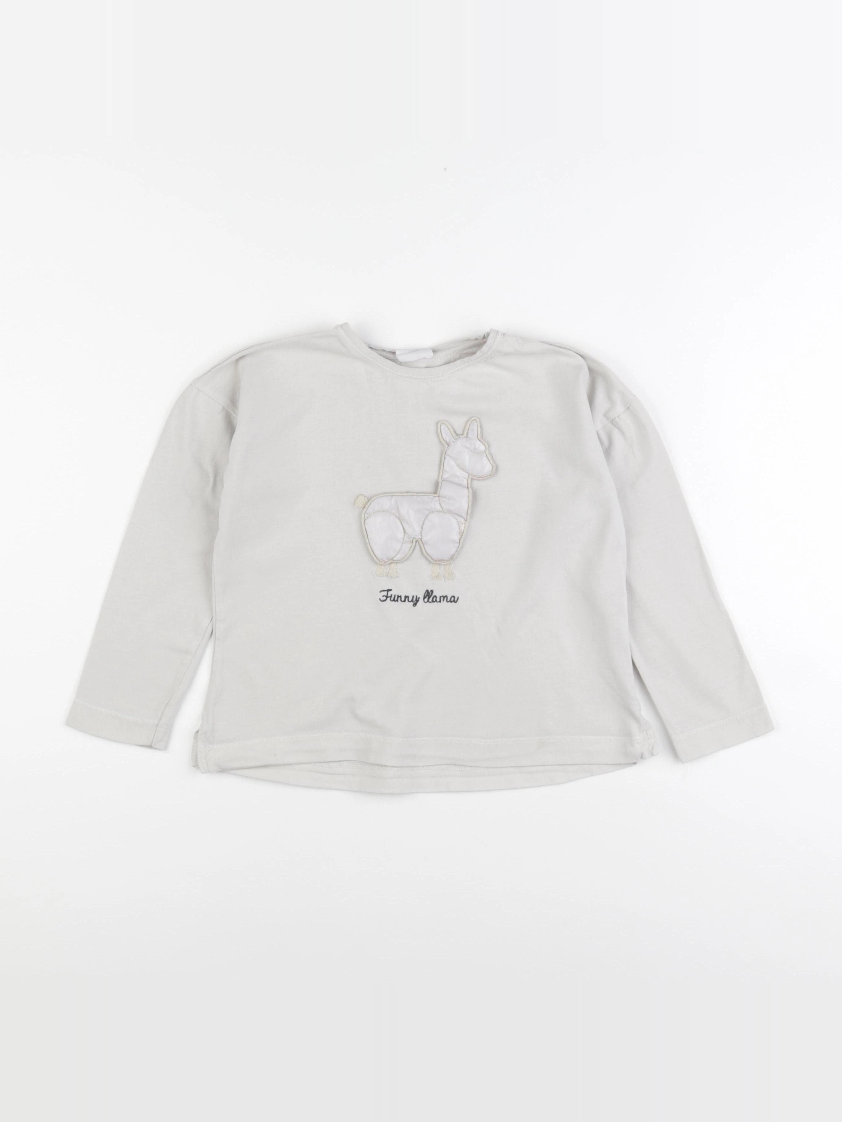 Zara - tee-shirt gris - 7 ans
