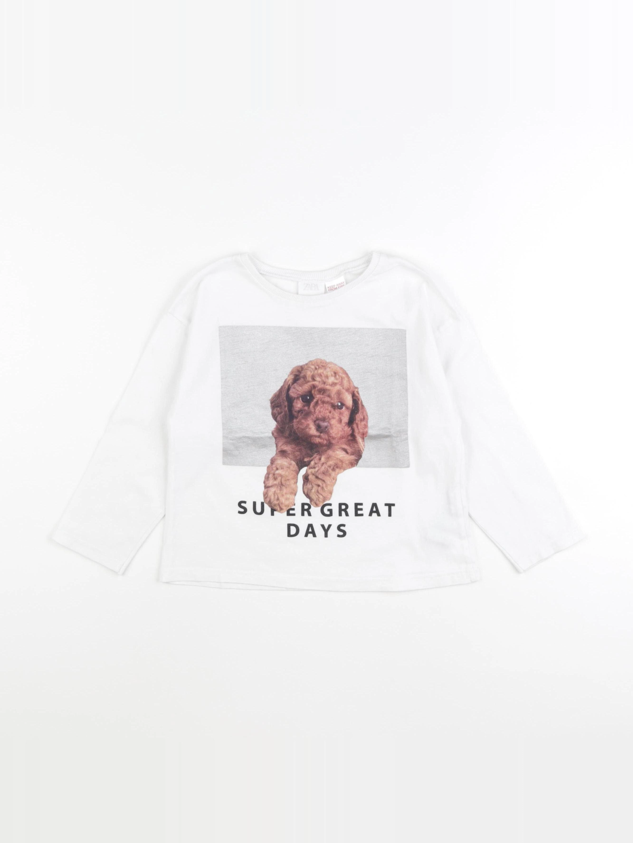 Zara - tee-shirt blanc - 4/5 ans