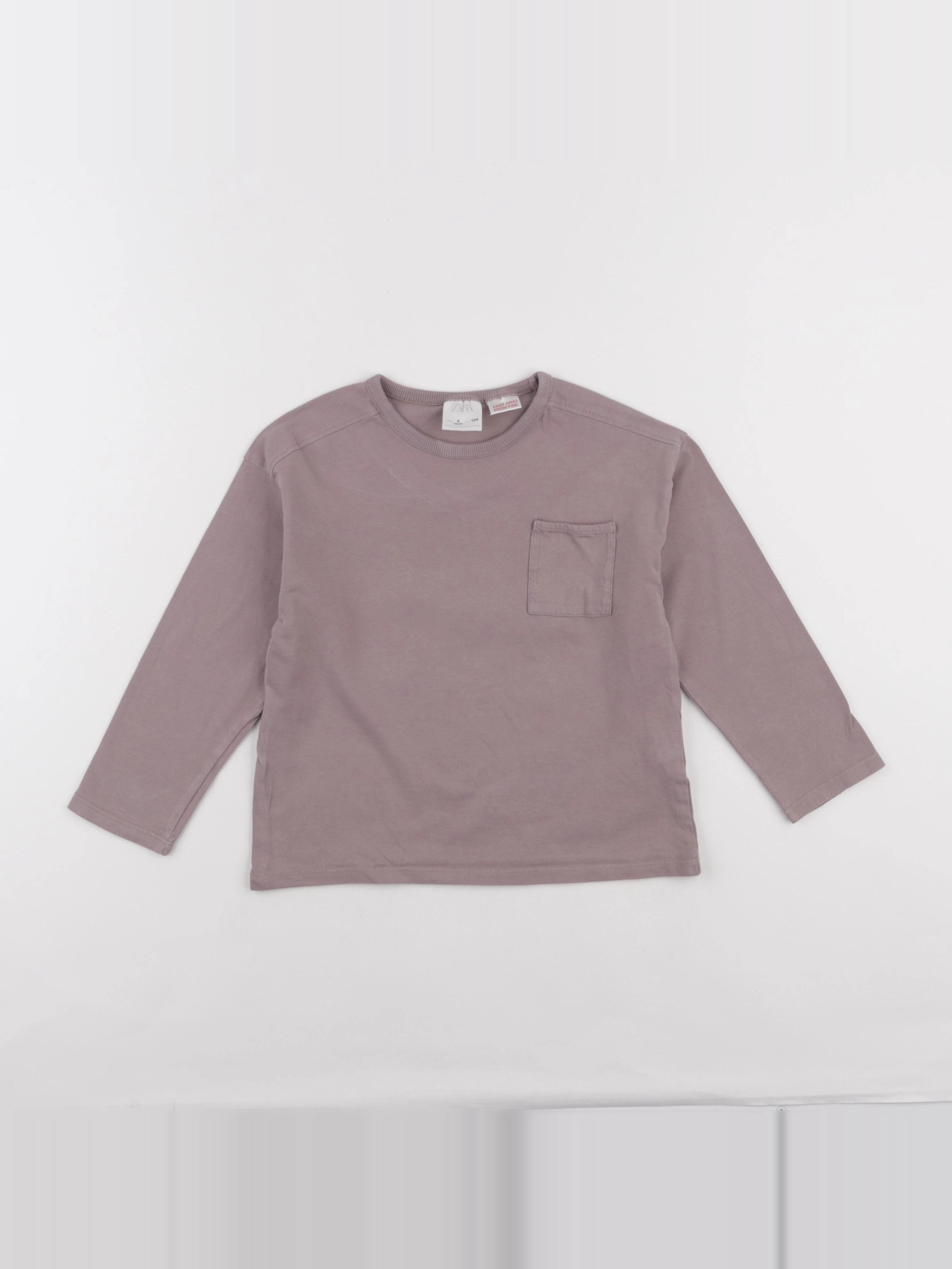 Zara - tee-shirt gris - 4 ans