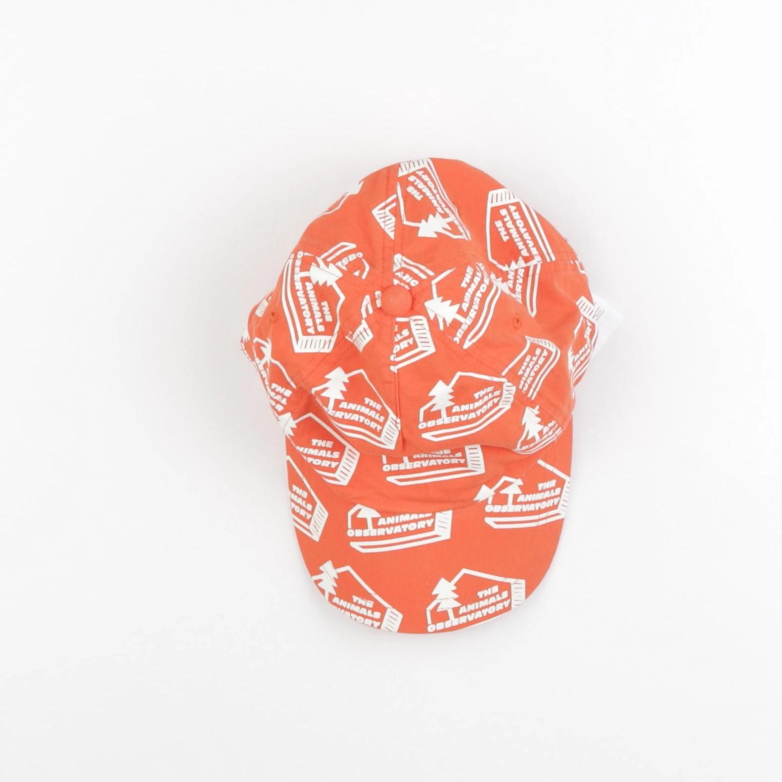 The animals observatory - casquette orange - 6/10 ans