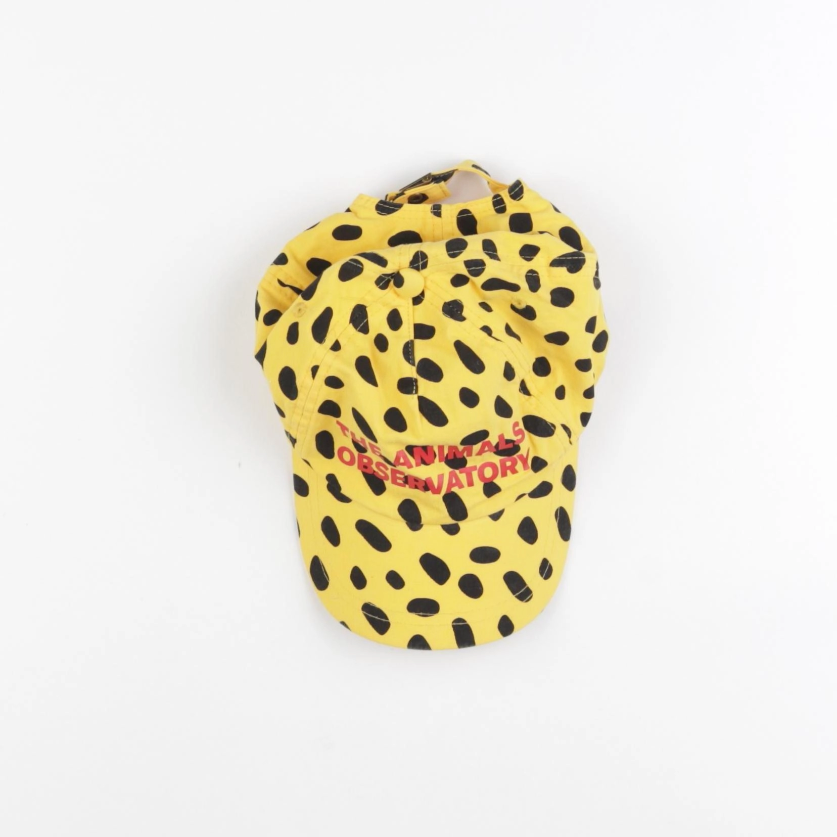 The animals observatory - casquette jaune - 6/10 ans