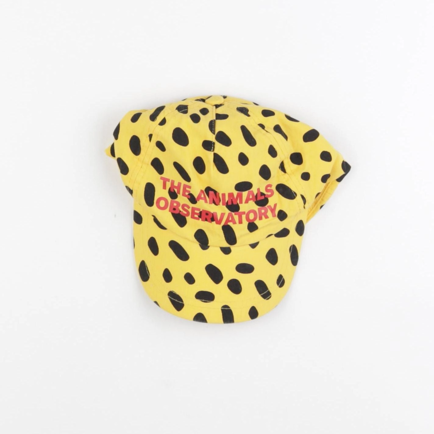 The animals observatory - casquette jaune - 6/10 ans