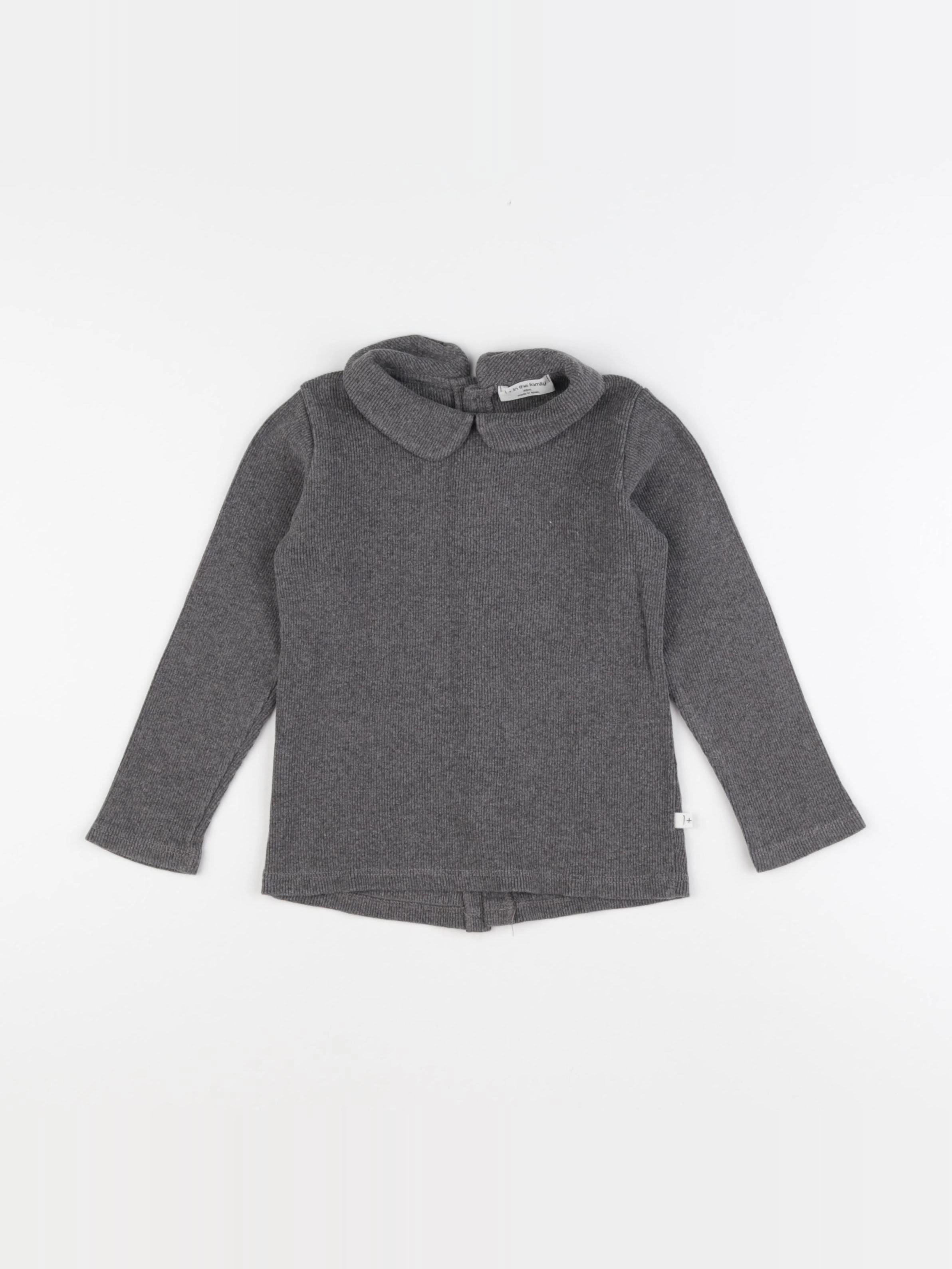 1+ In the family - tee-shirt gris - 4 ans
