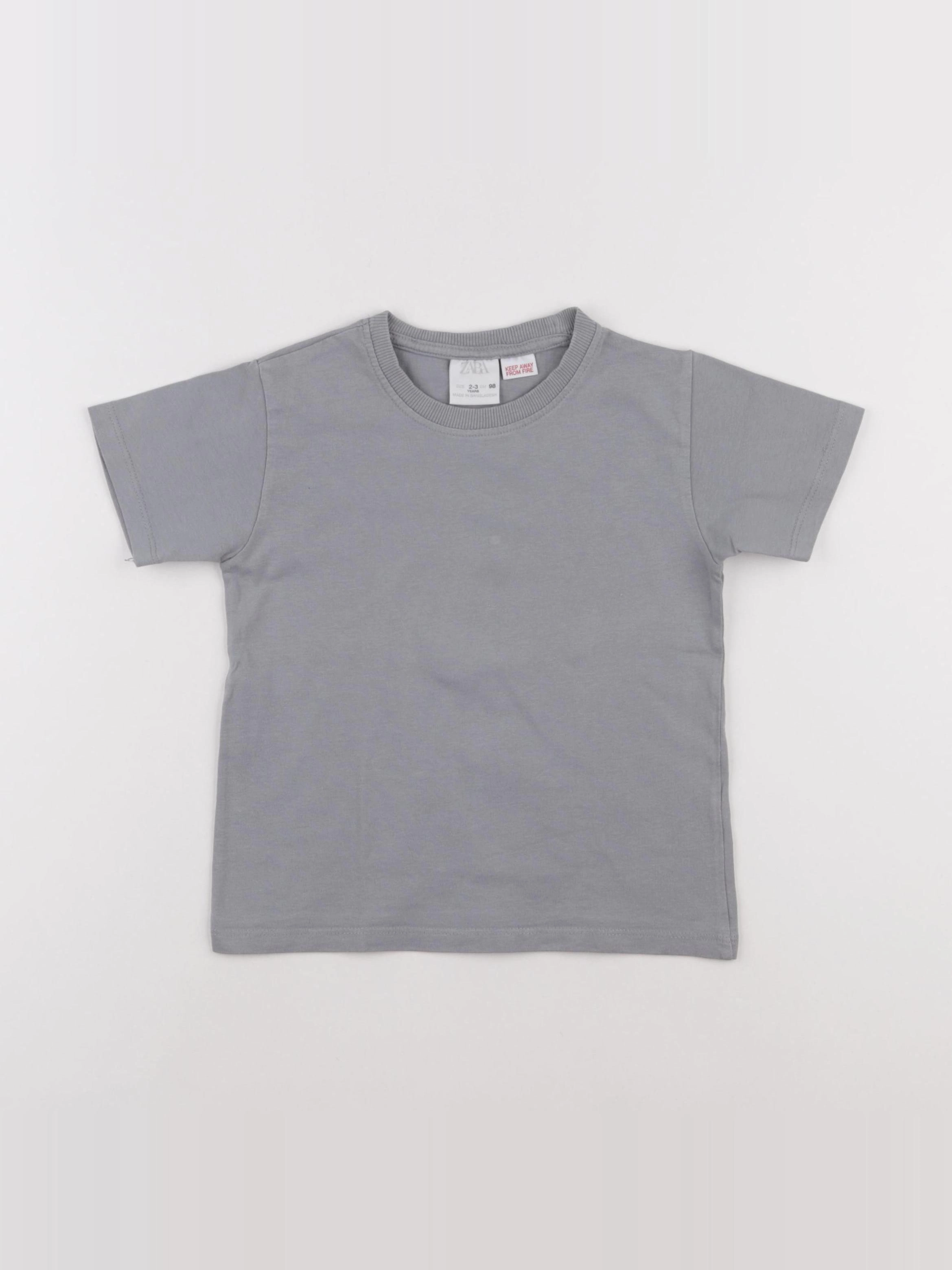 Zara - tee-shirt gris - 2/3 ans