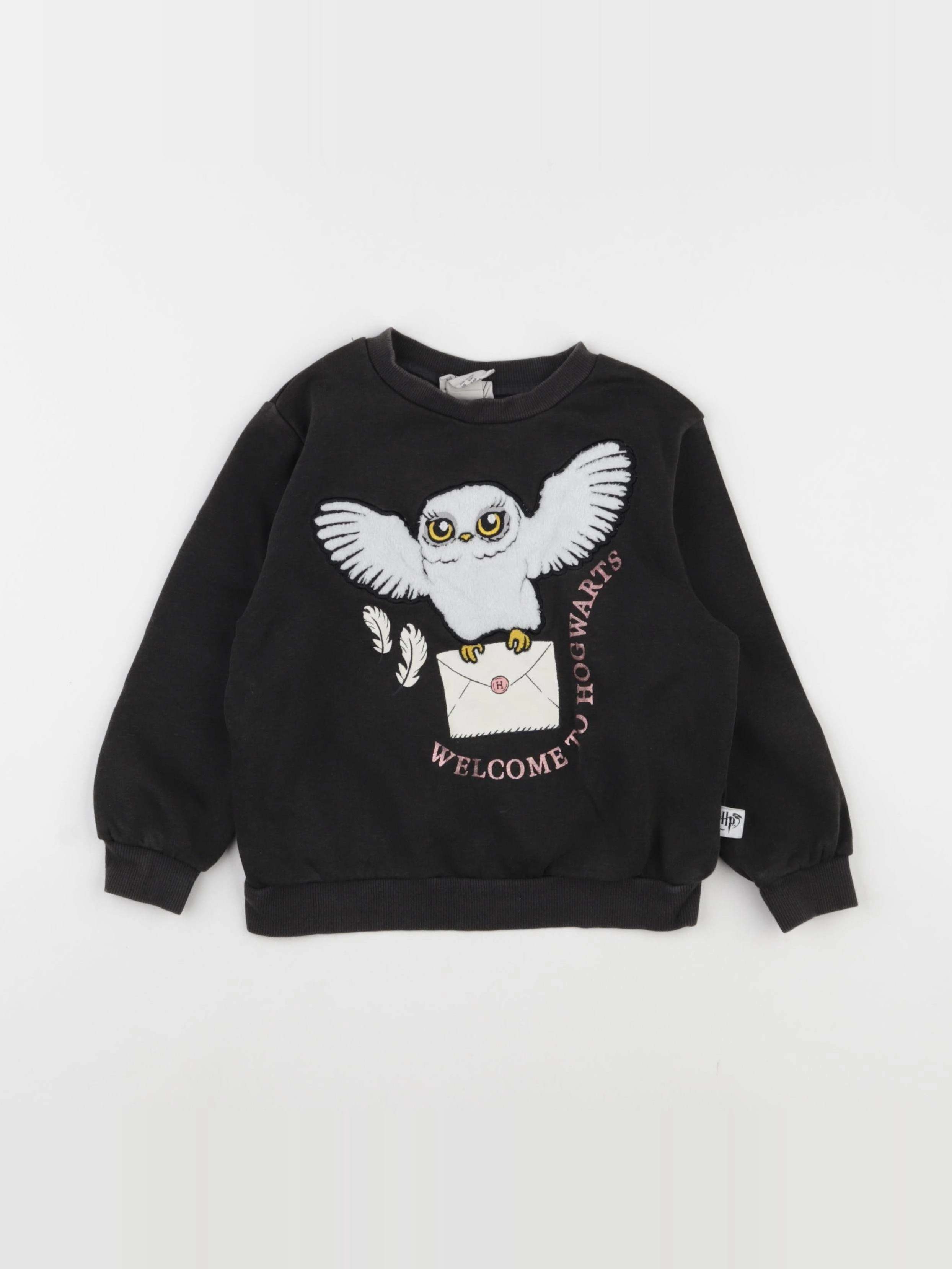 H&M - sweat gris - 3/4 ans