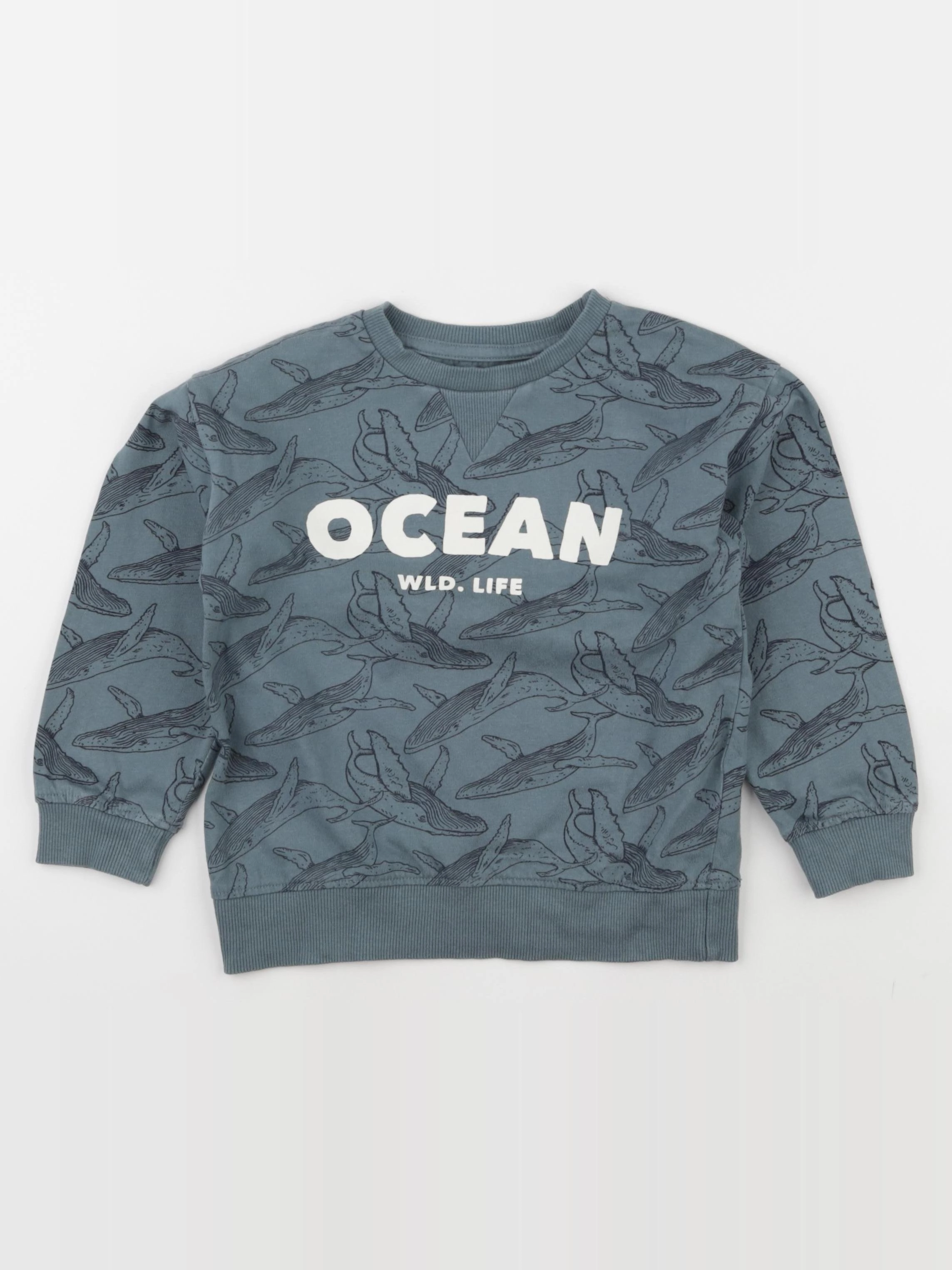 Vertbaudet - sweat bleu - 5 ans
