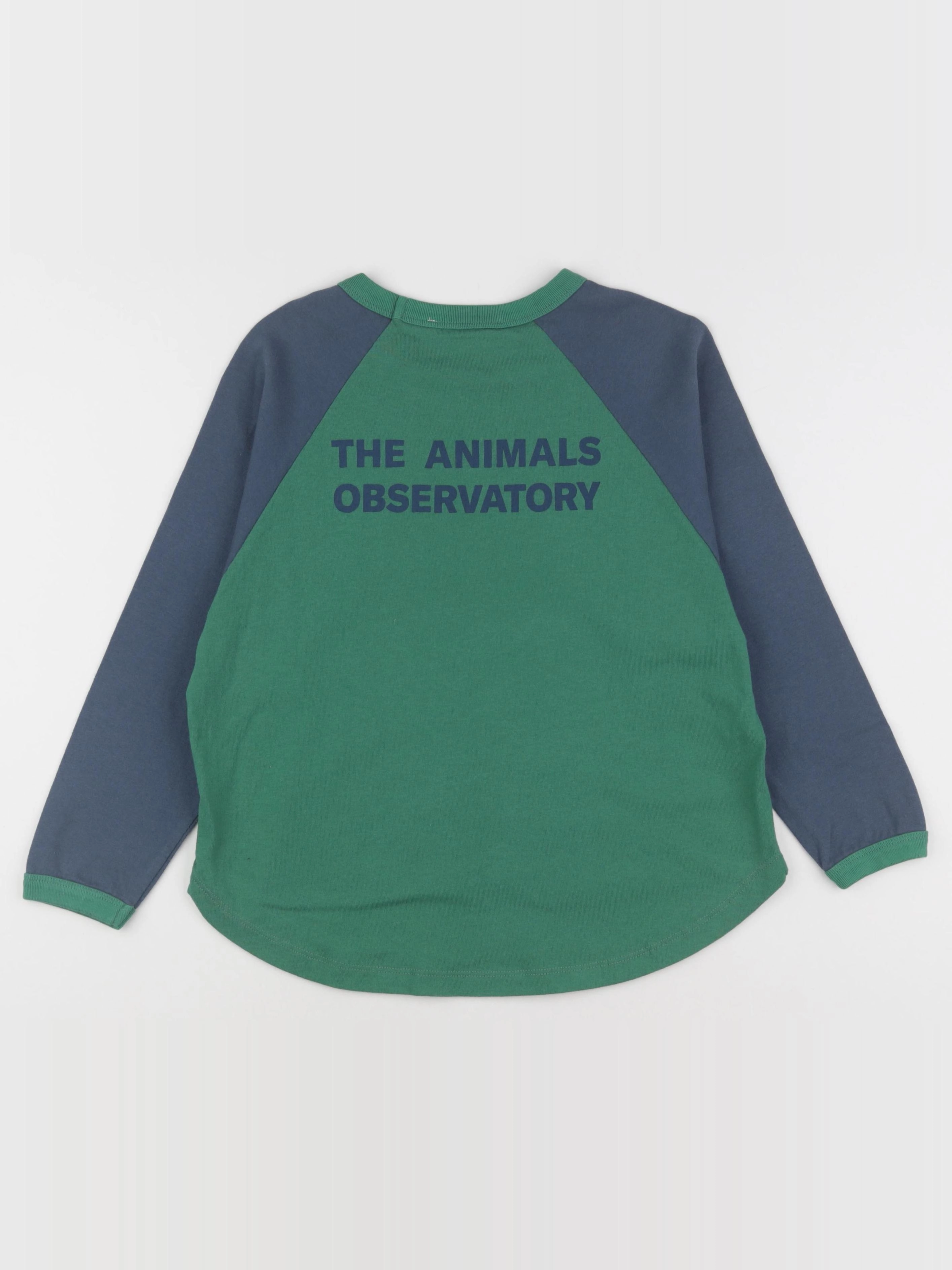 The animals observatory - tee-shirt imprimé au dos vert, bleu - 8 ans