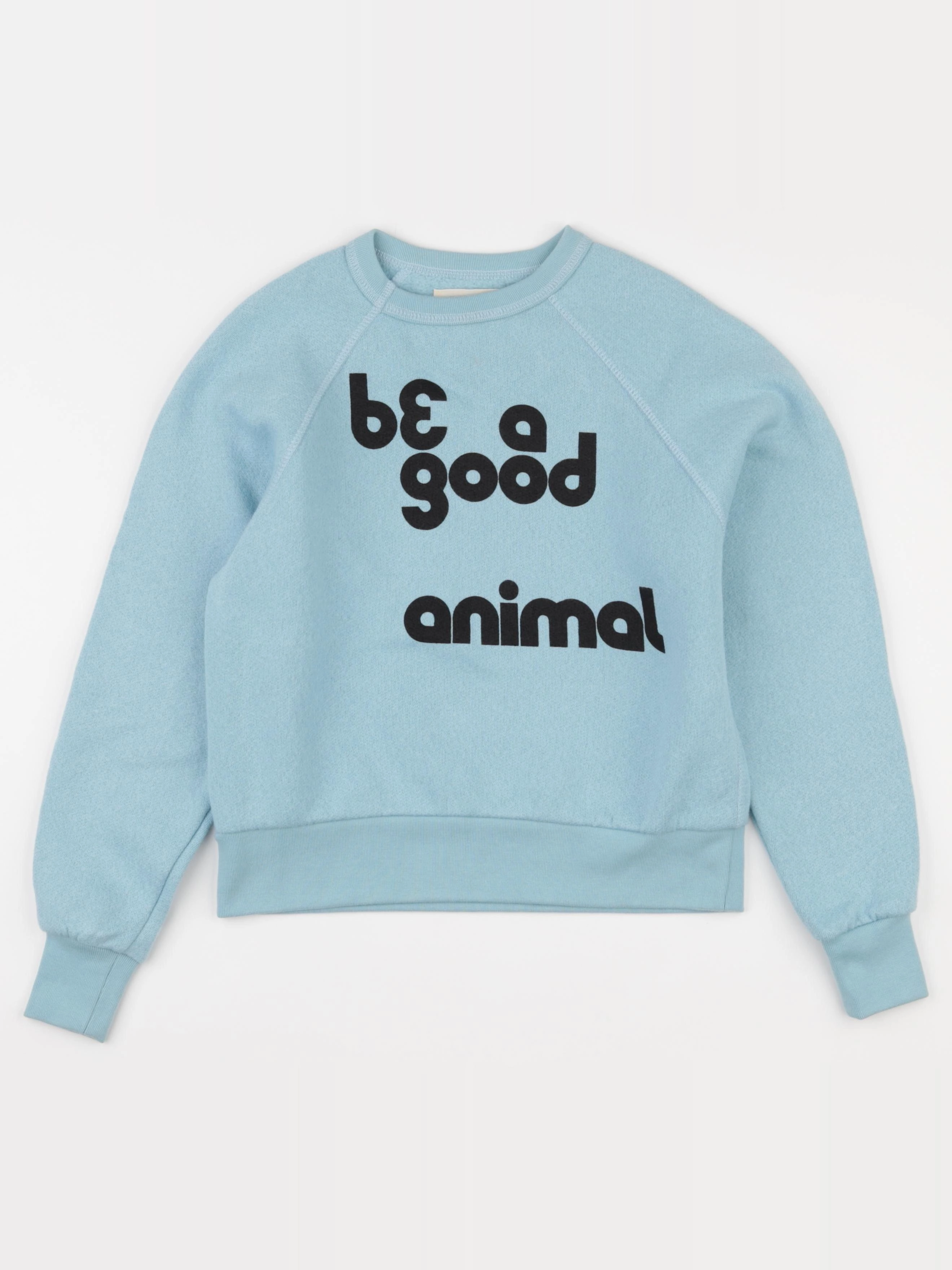 The animals observatory - sweat bleu - 8 ans