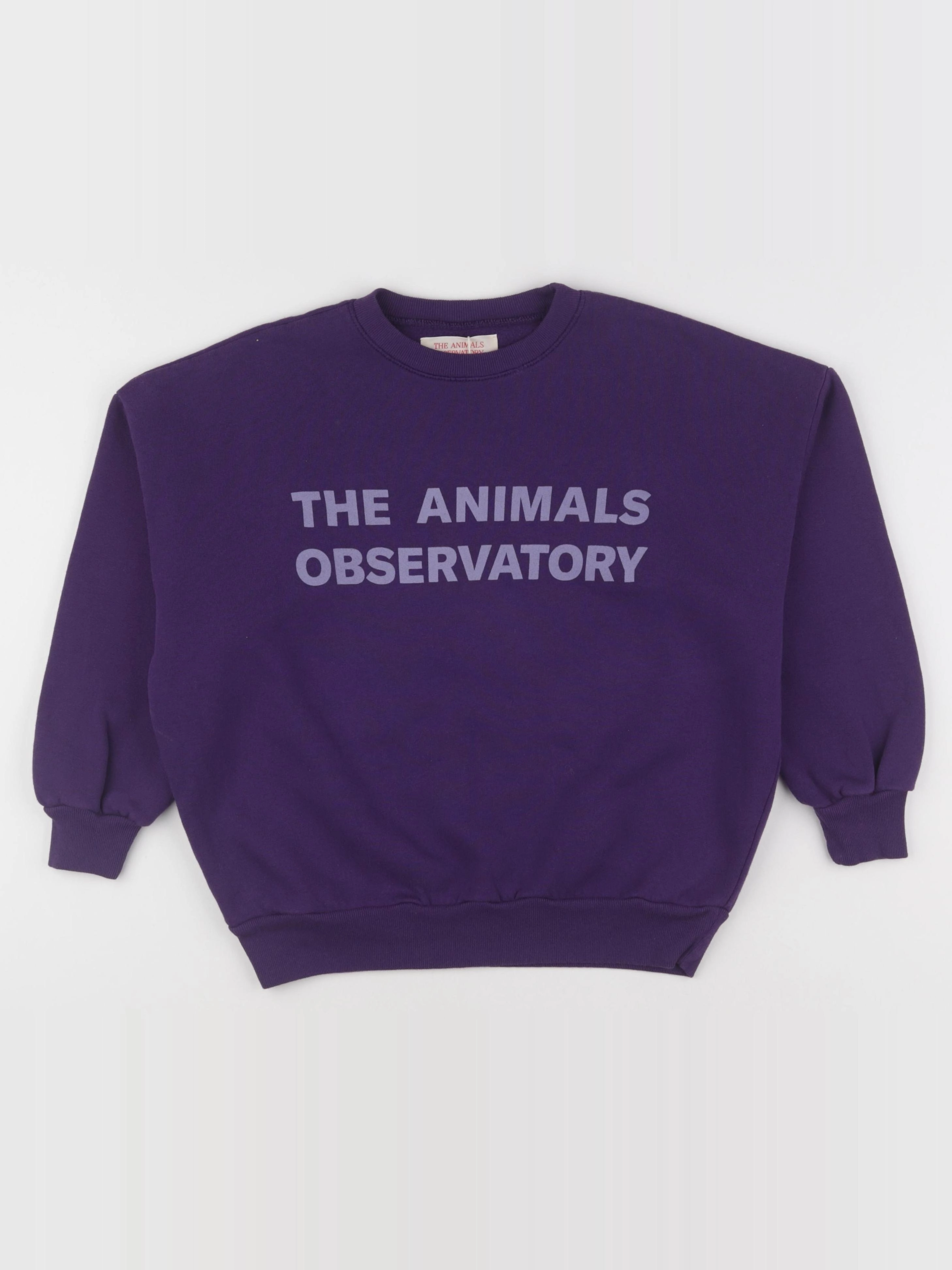 The animals observatory - sweat violet - 8 ans