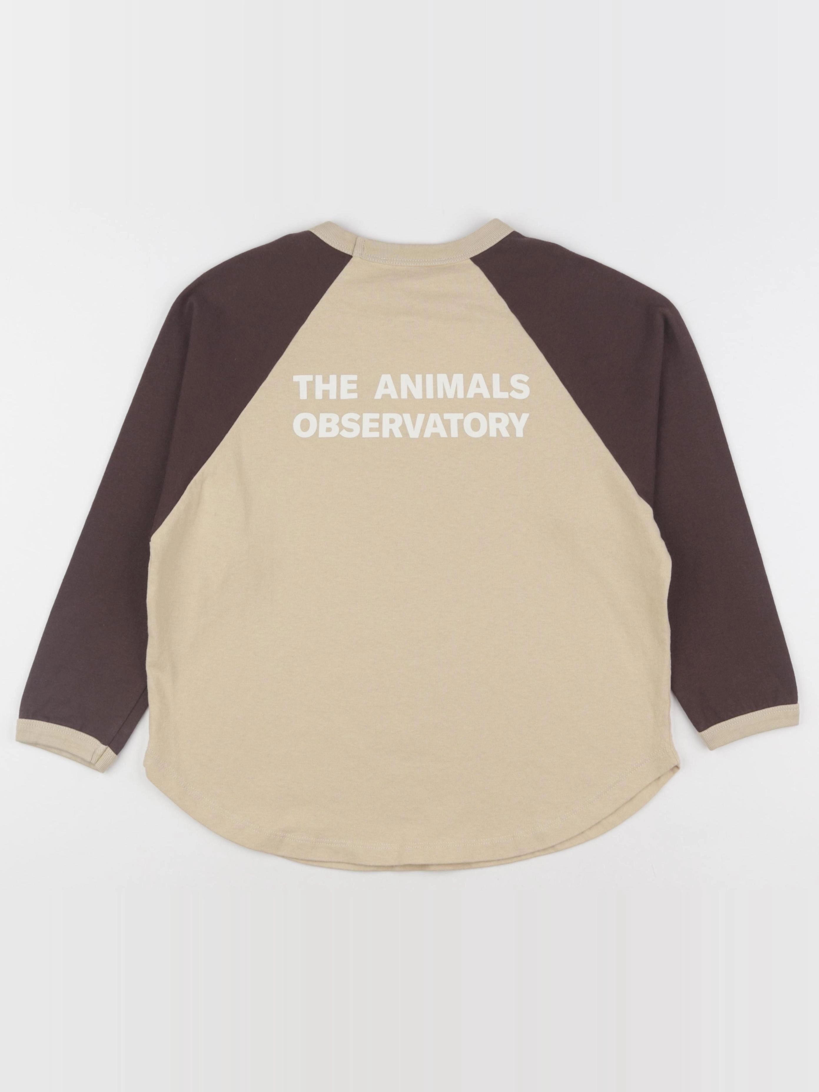 The animals observatory - tee-shirt imprimé au dos marron, beige - 8 ans